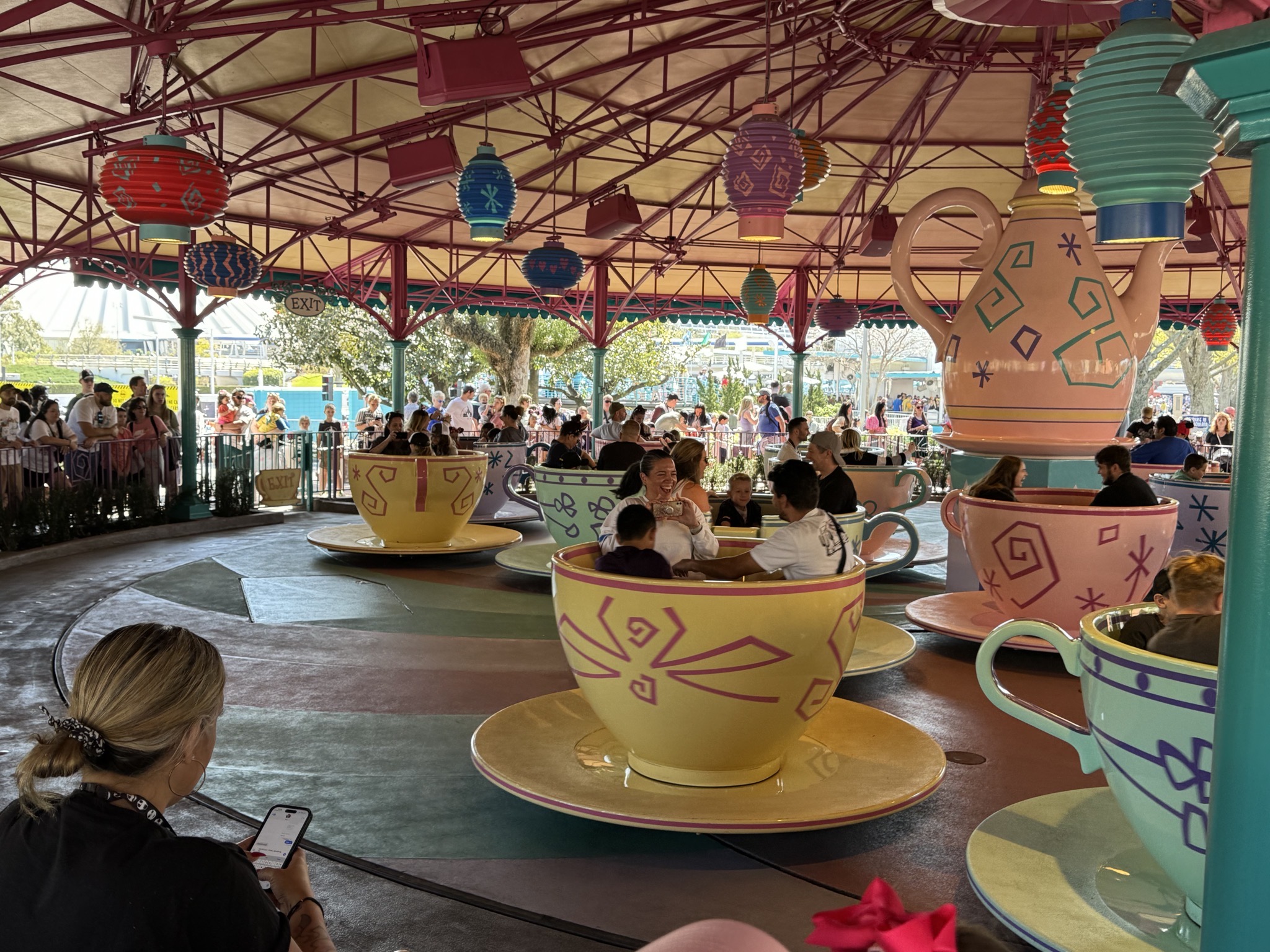 Teacups