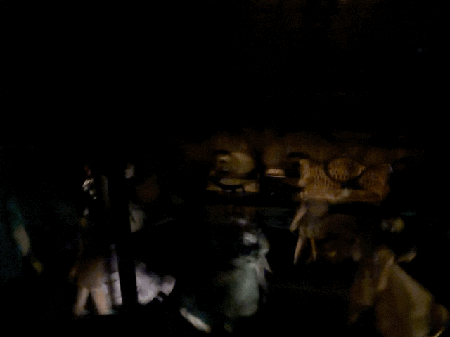 Haunted Mansion