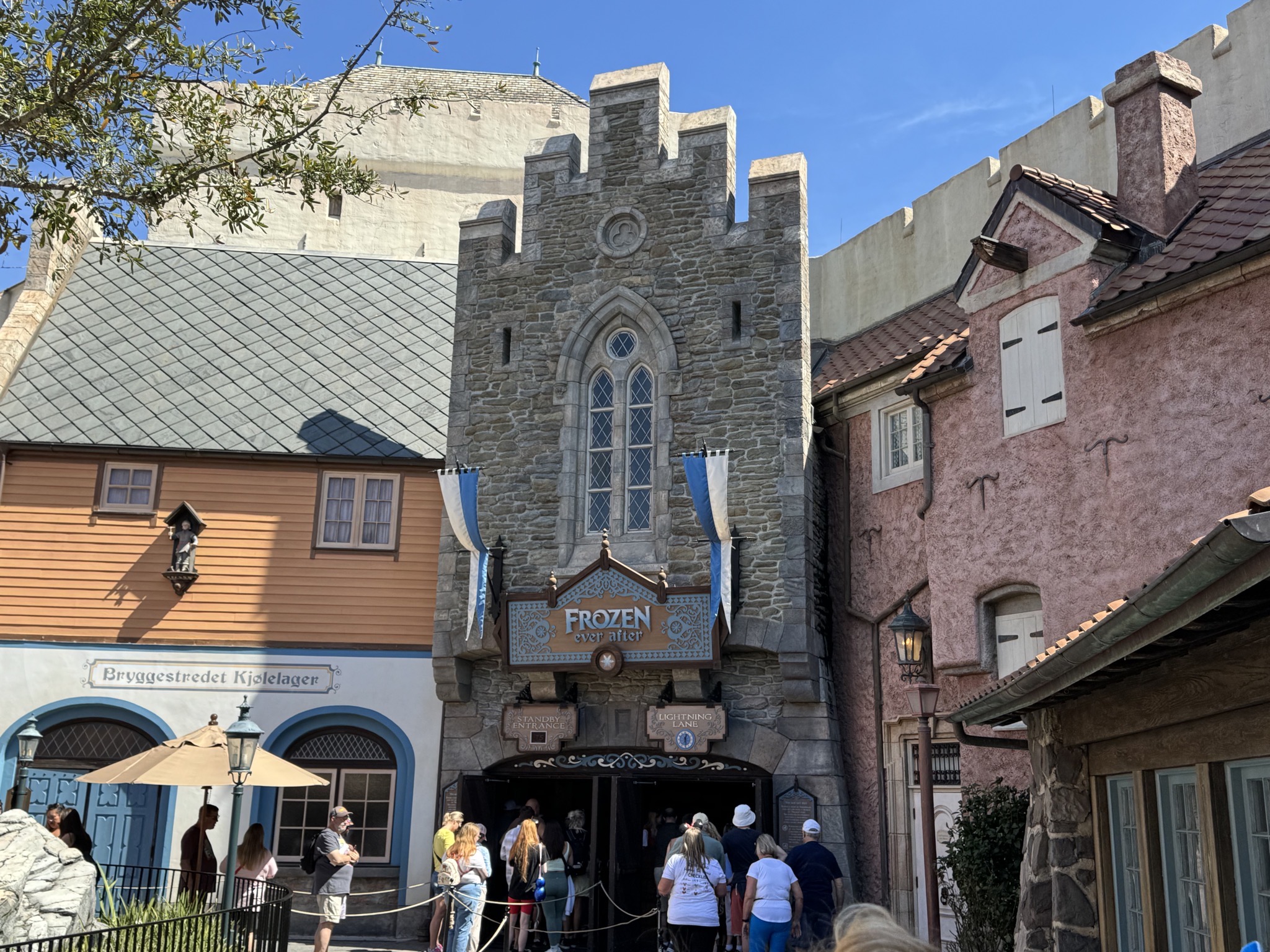 Frozen ride