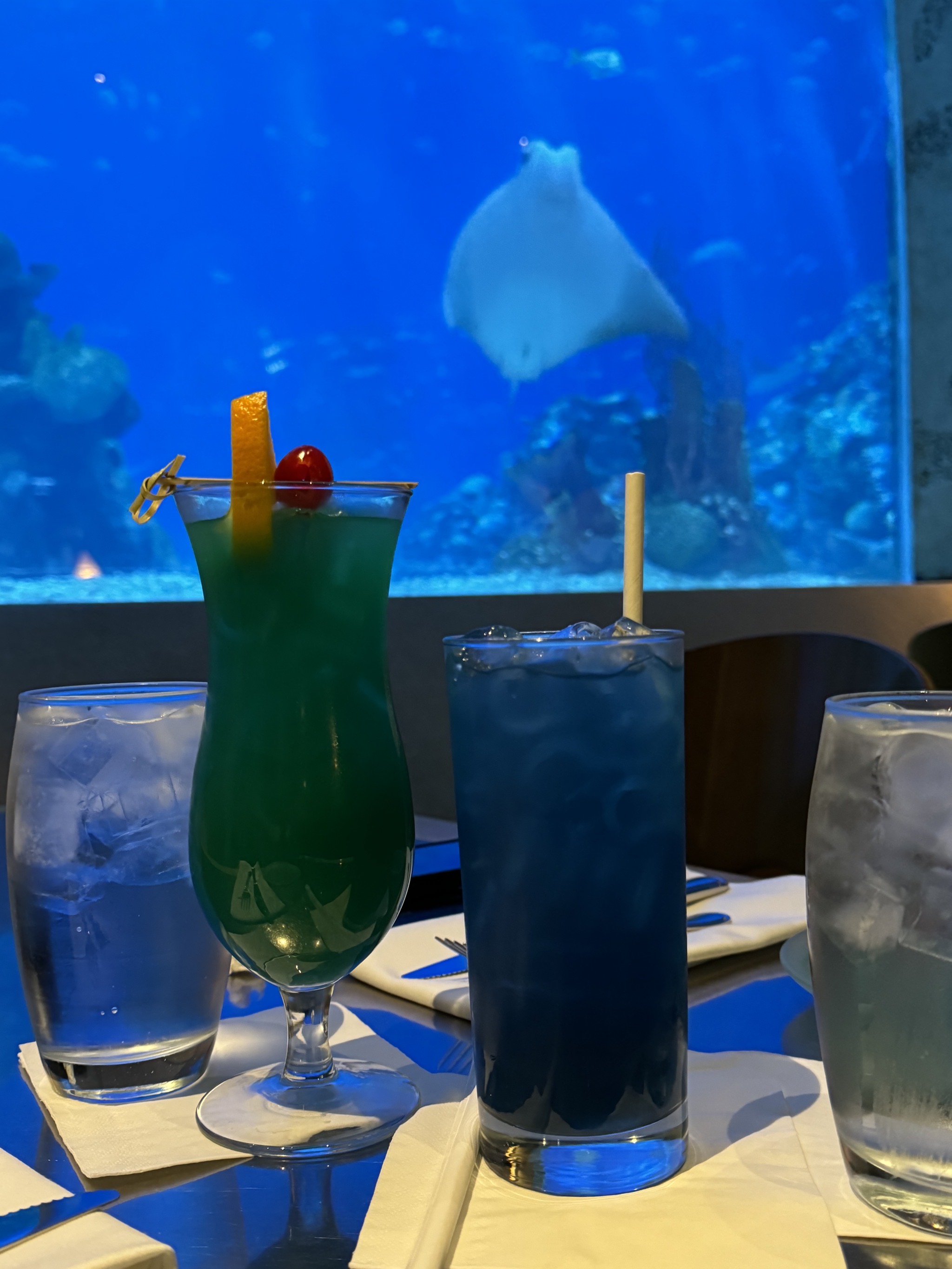 Coral Reef Restaurant