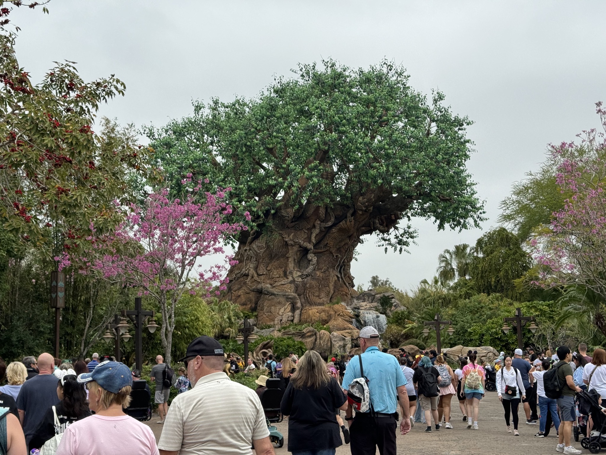 Tree of Life