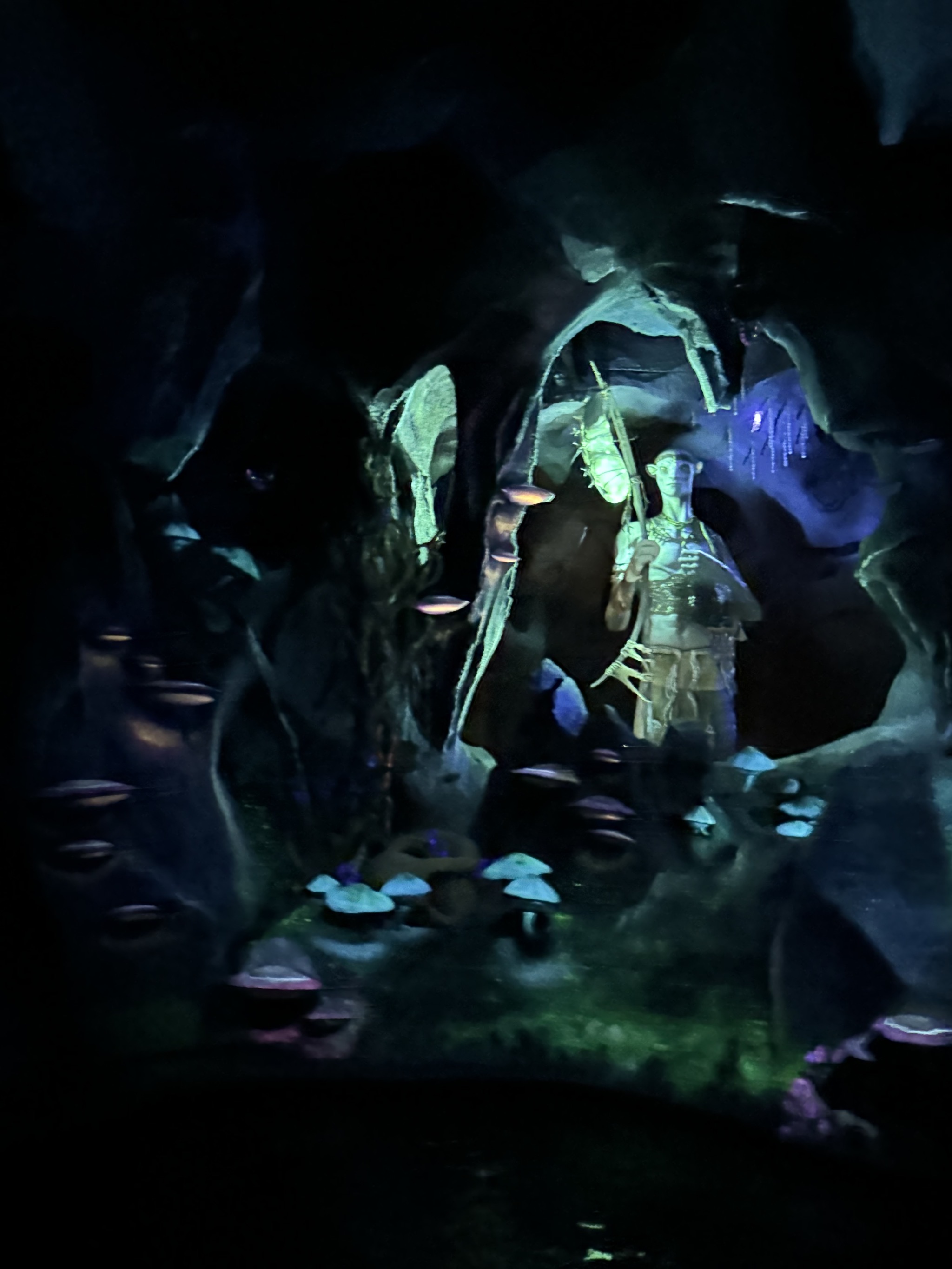 Avatar land