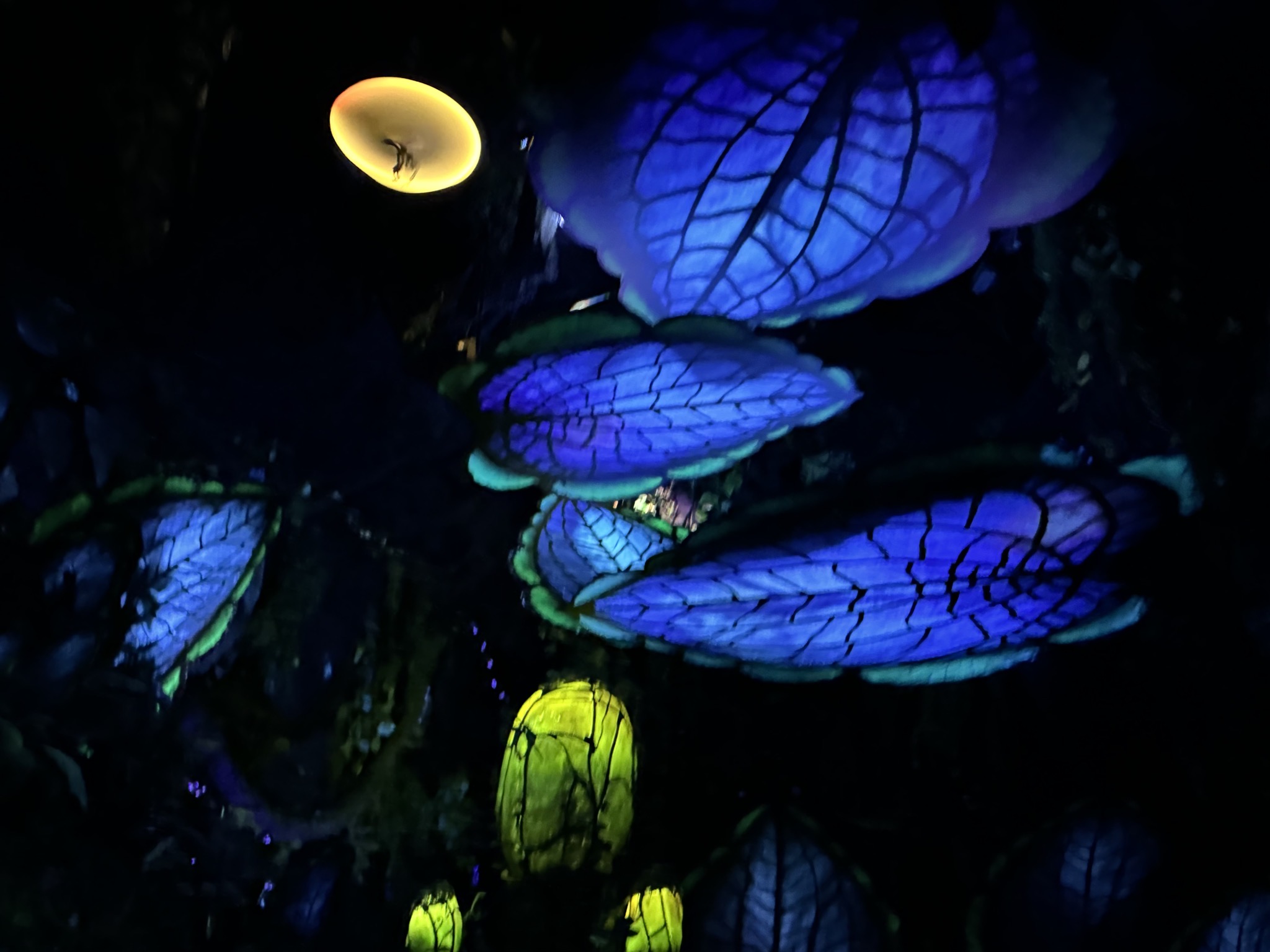 Avatar land