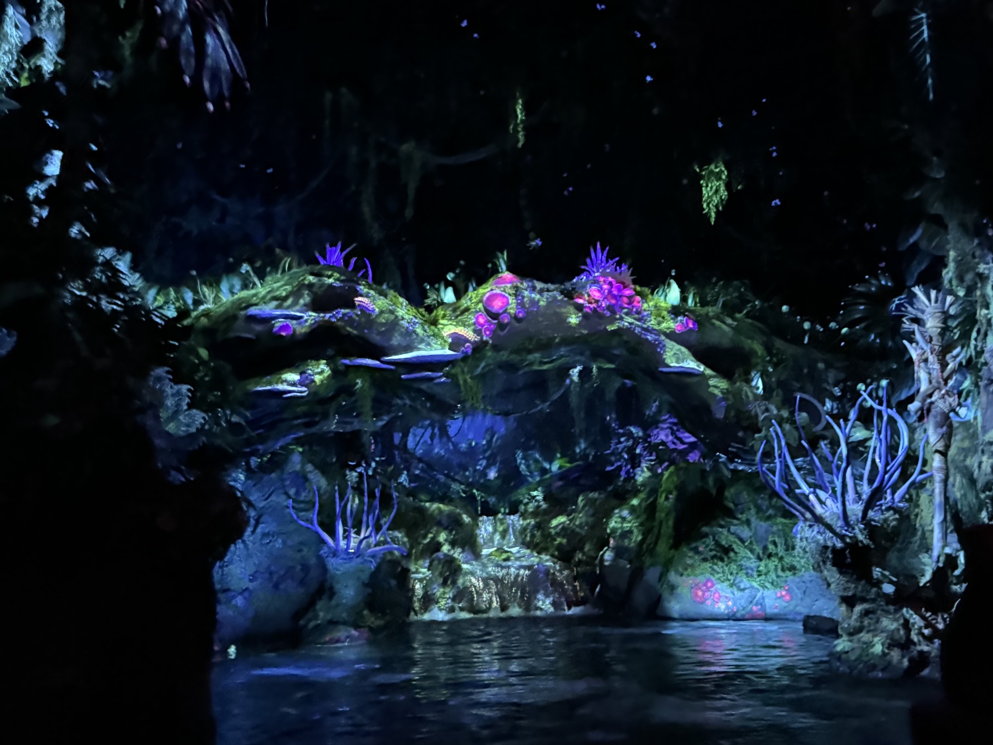 Avatar land