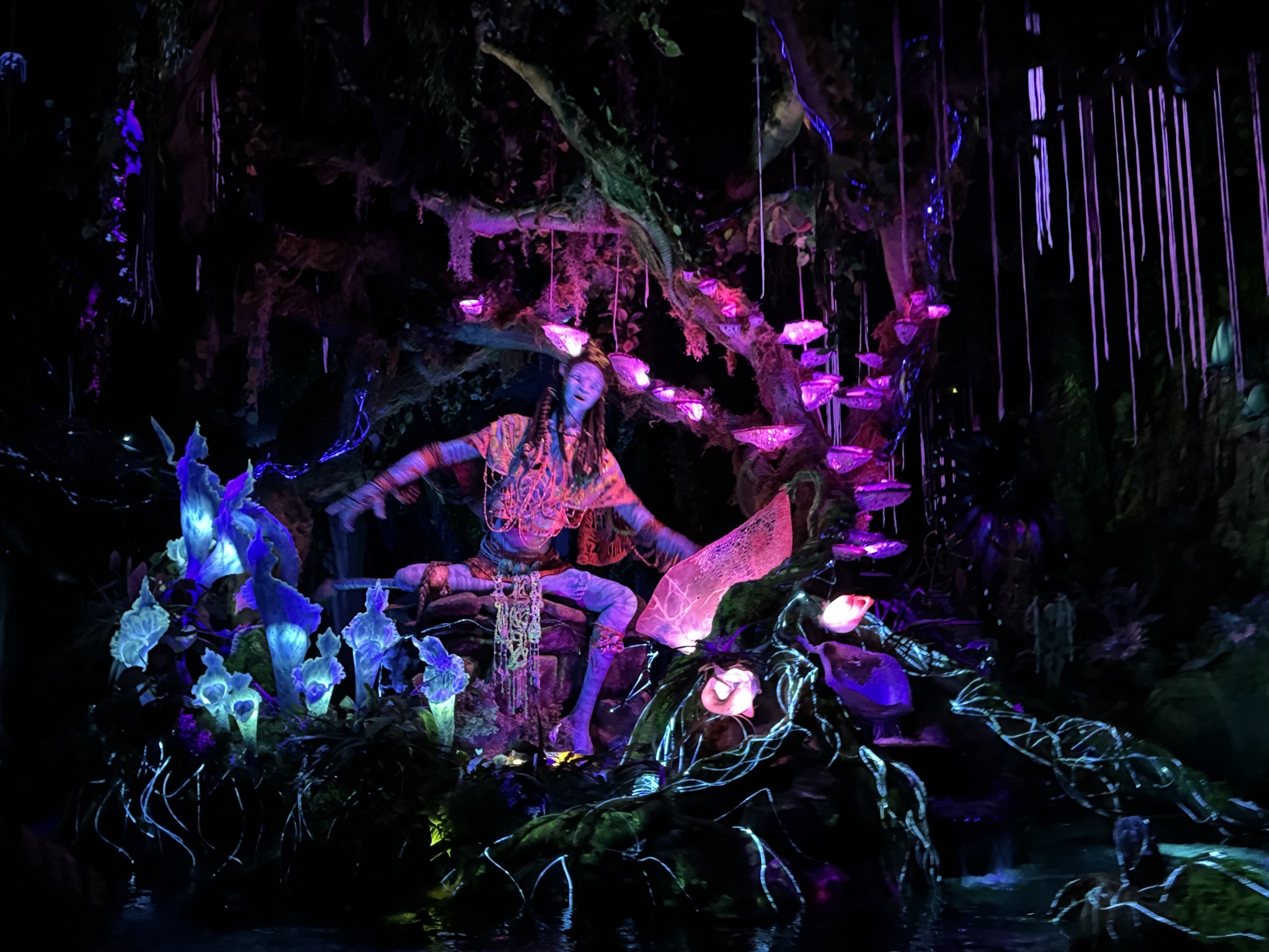 Avatar land