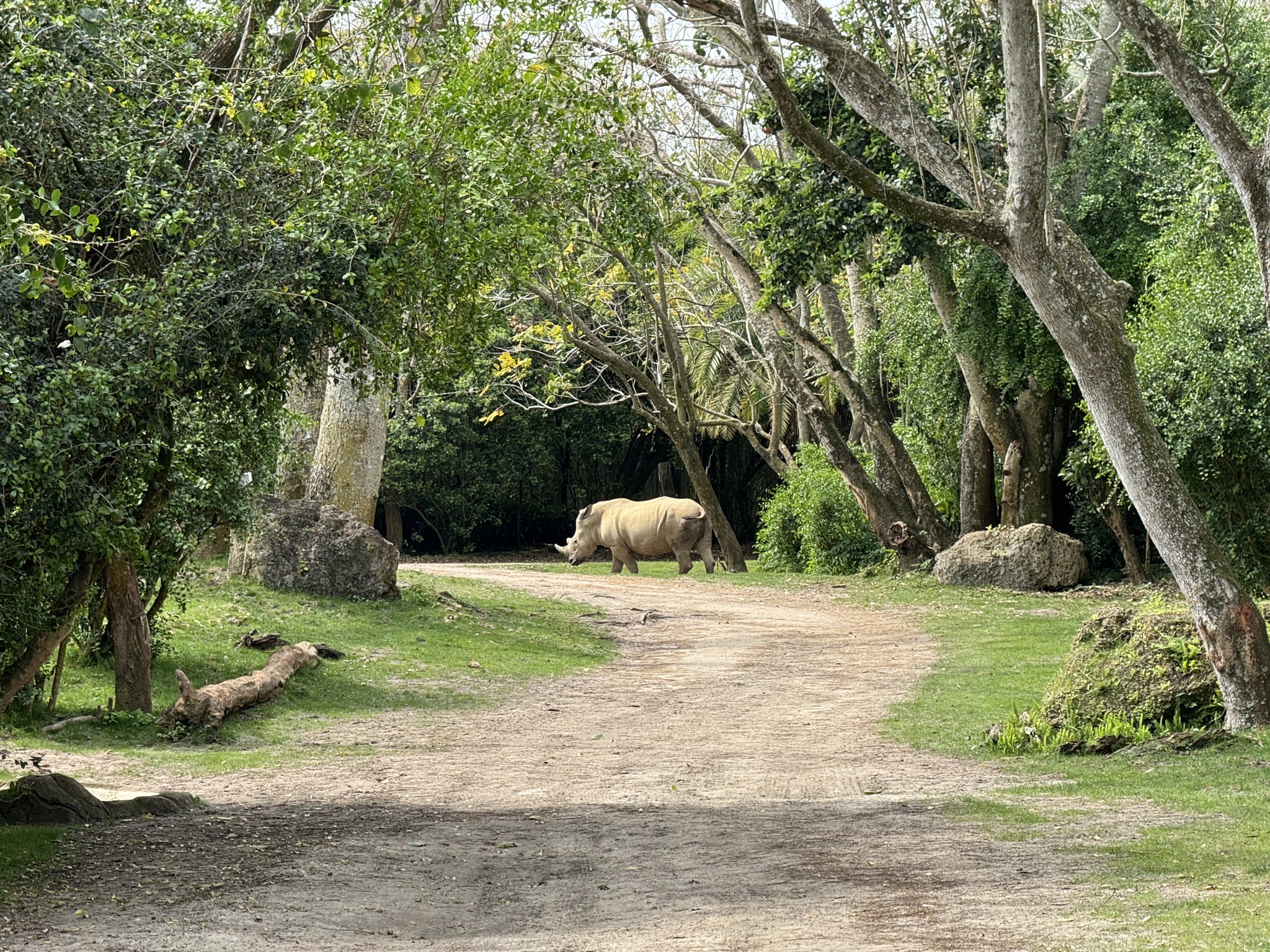 Africa