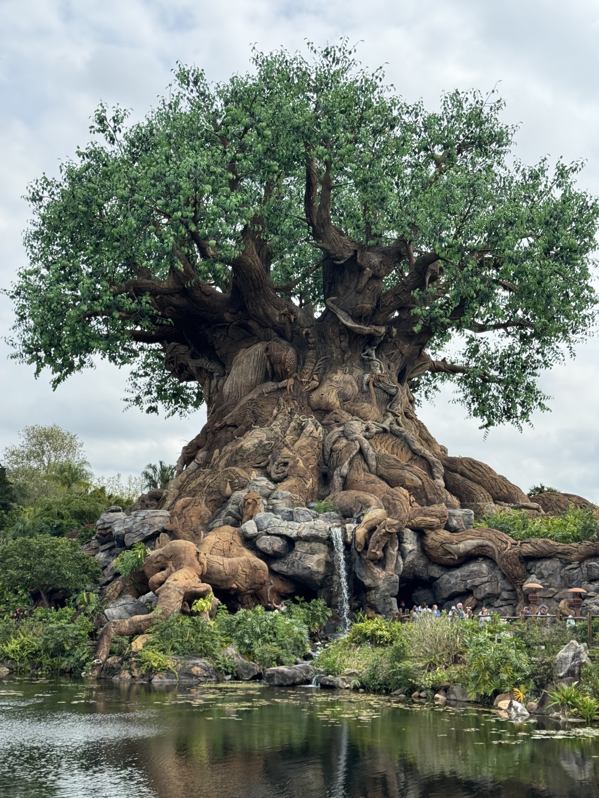Tree of Life