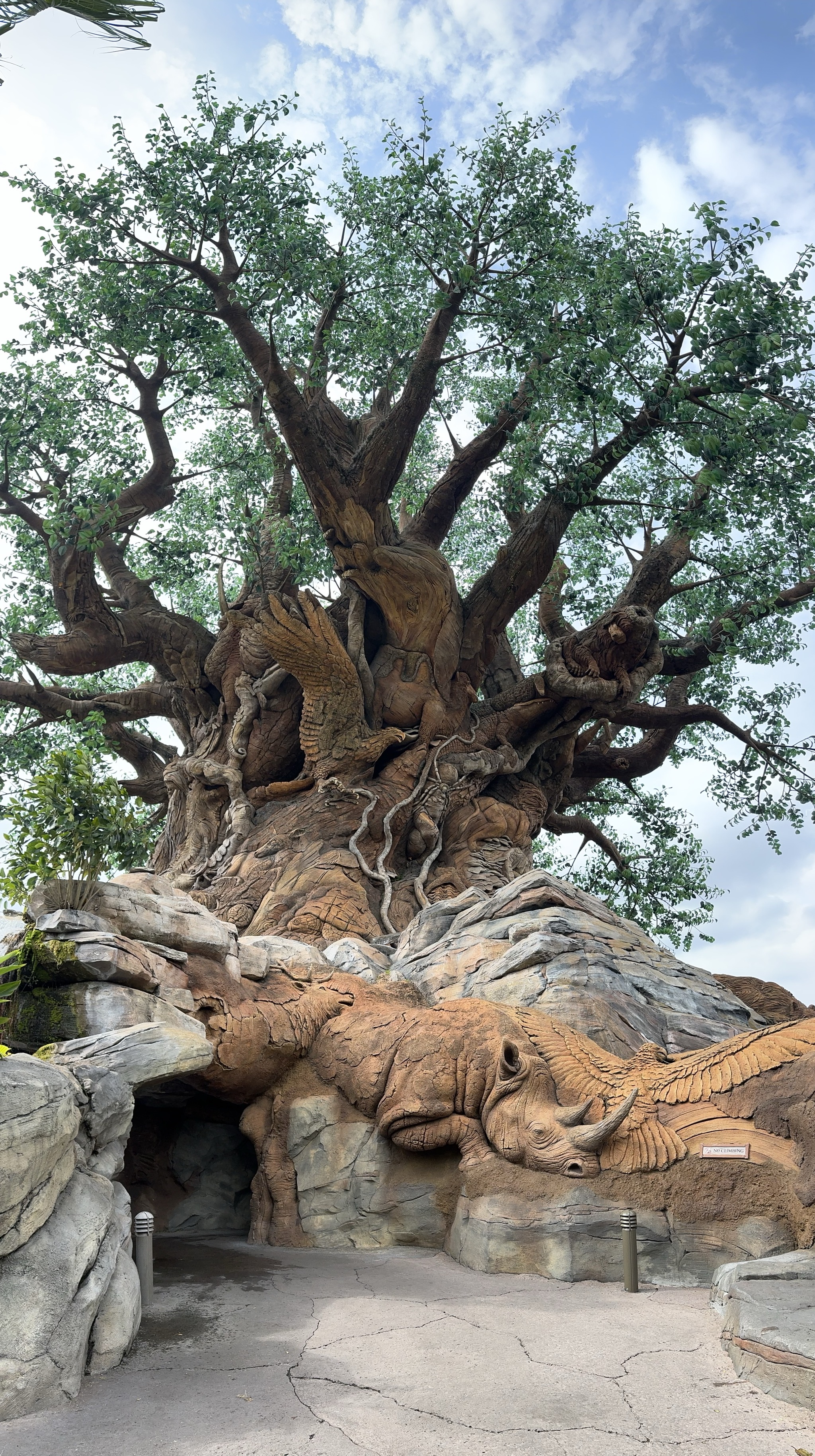 Tree of Life