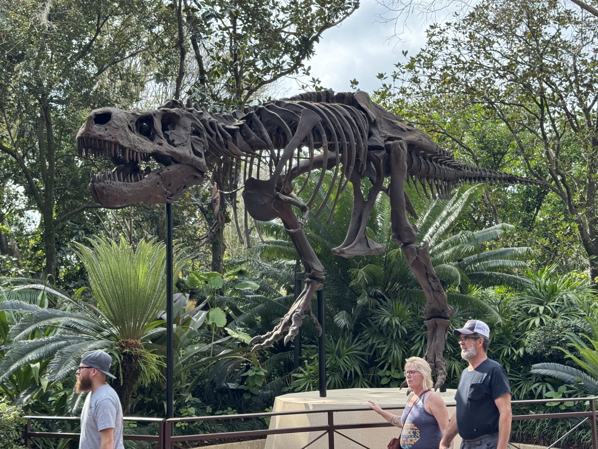 Dinosaur