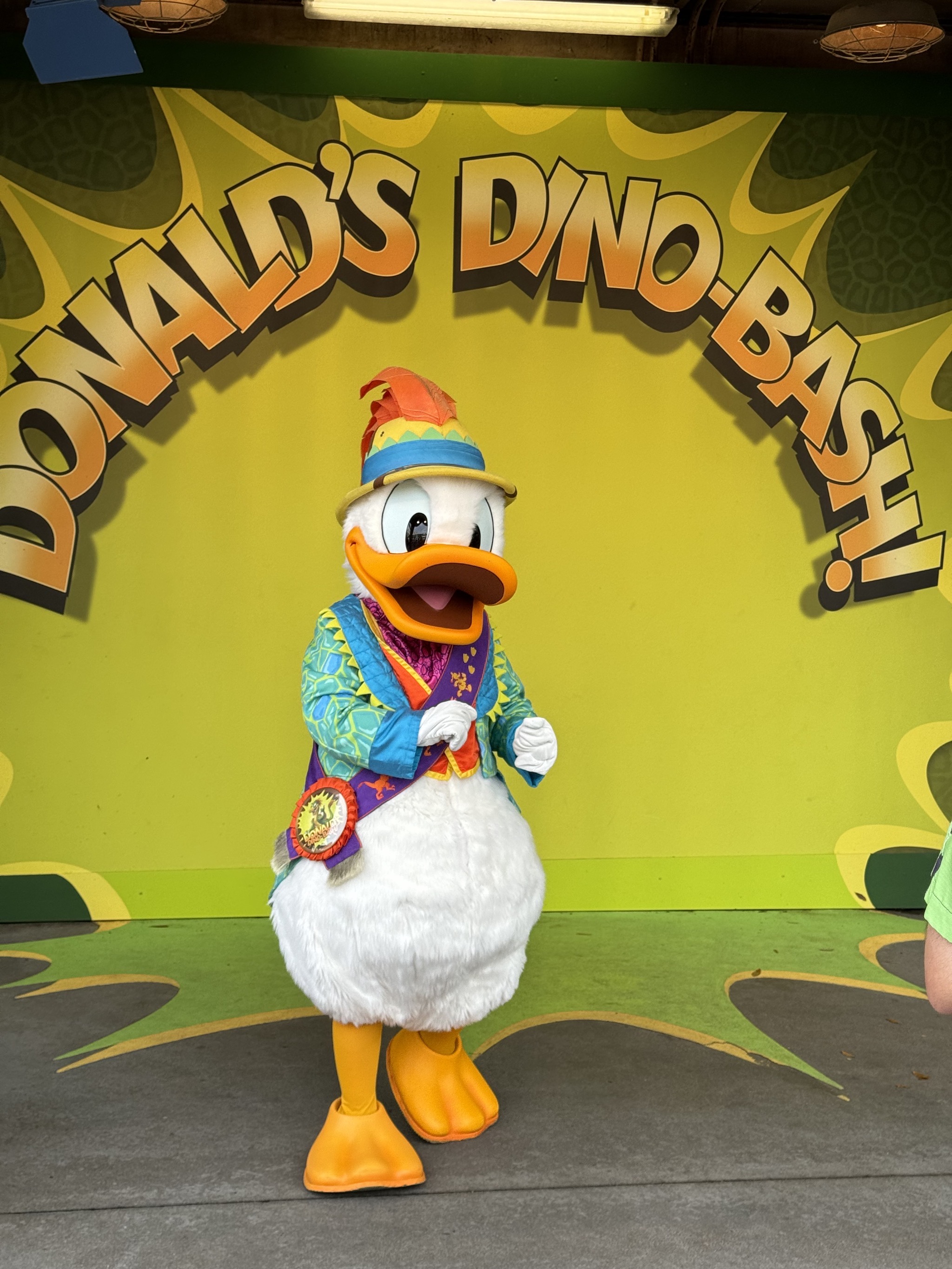 Donald Duck