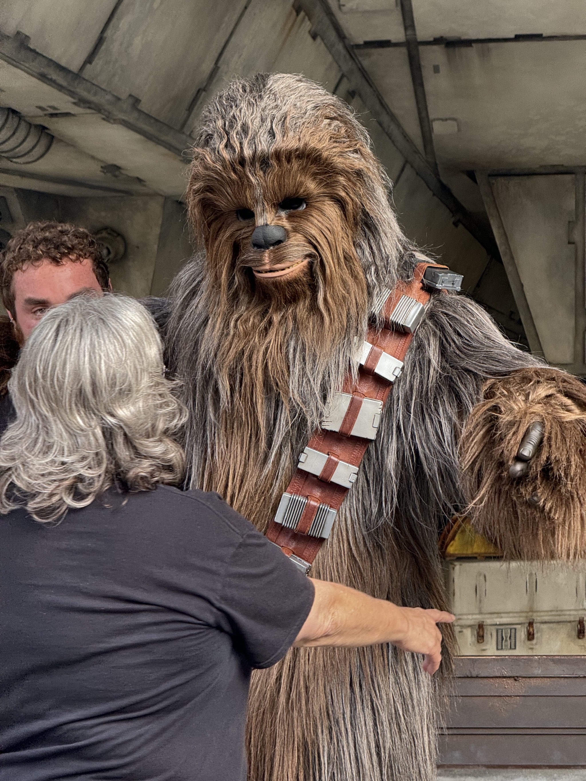 Star Wars Galaxy's Edge