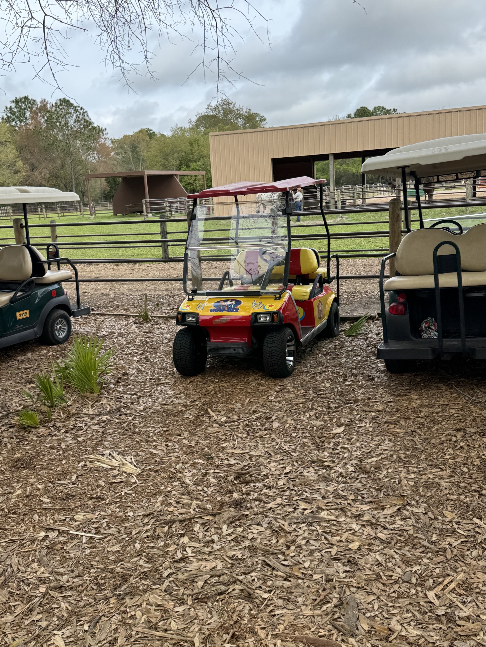 Decorated golf carts