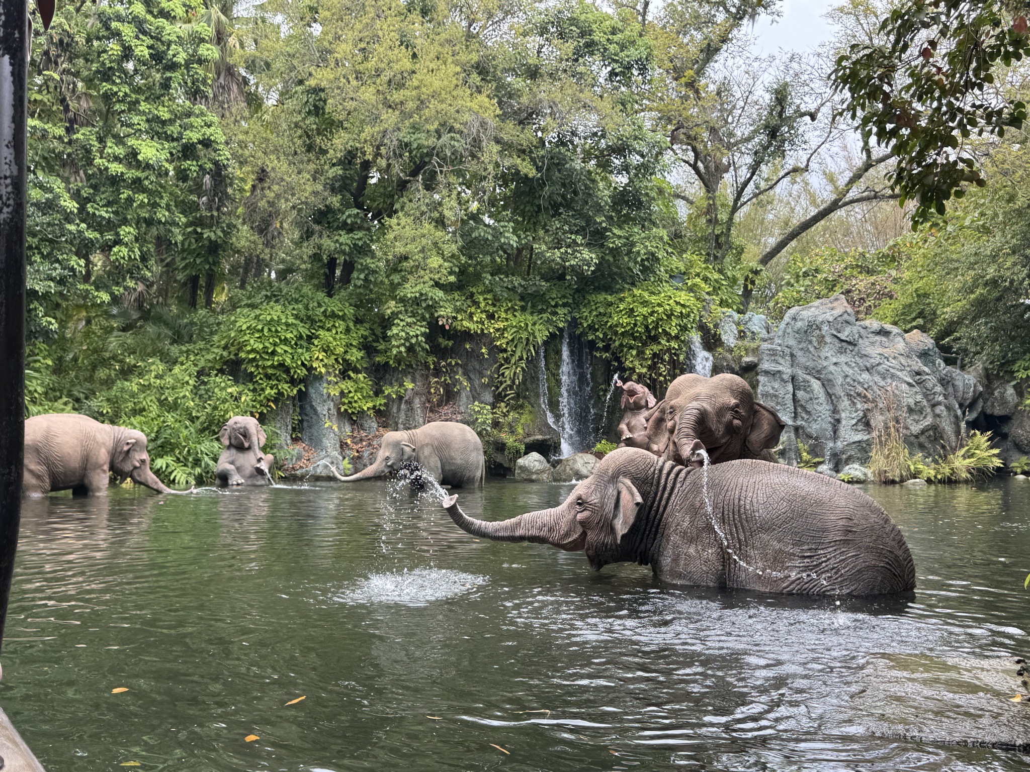 Jungle Cruise