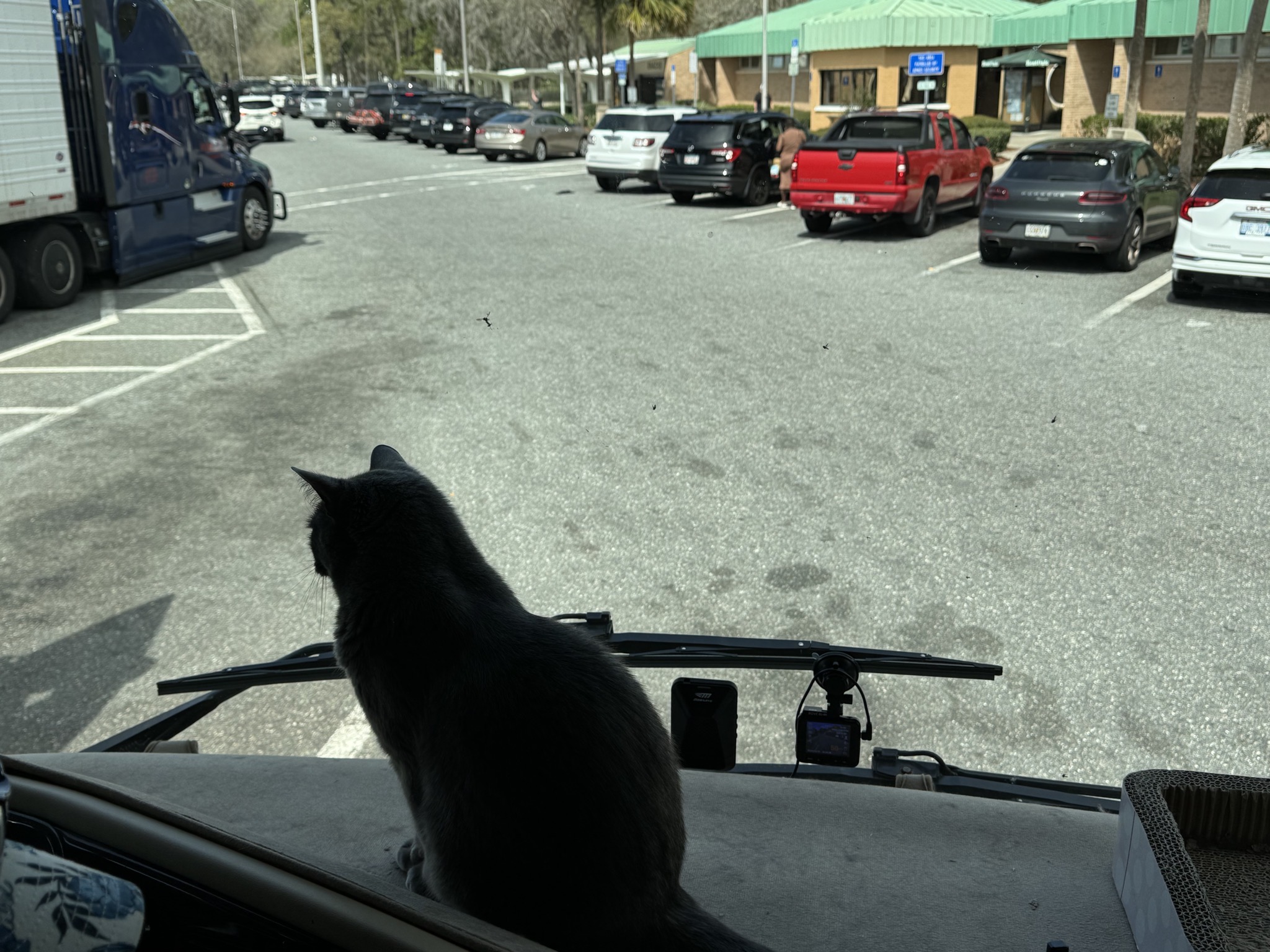 Paladin at rest stop