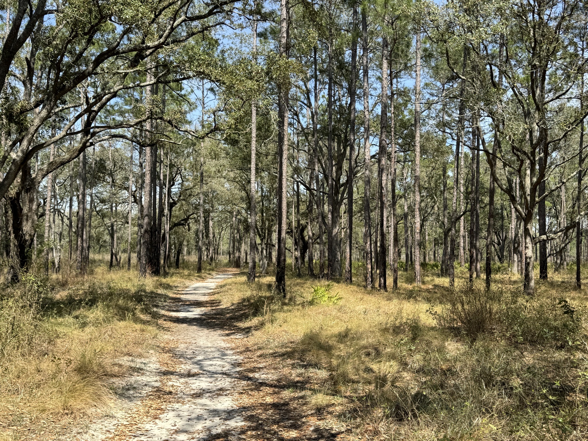 Nature path