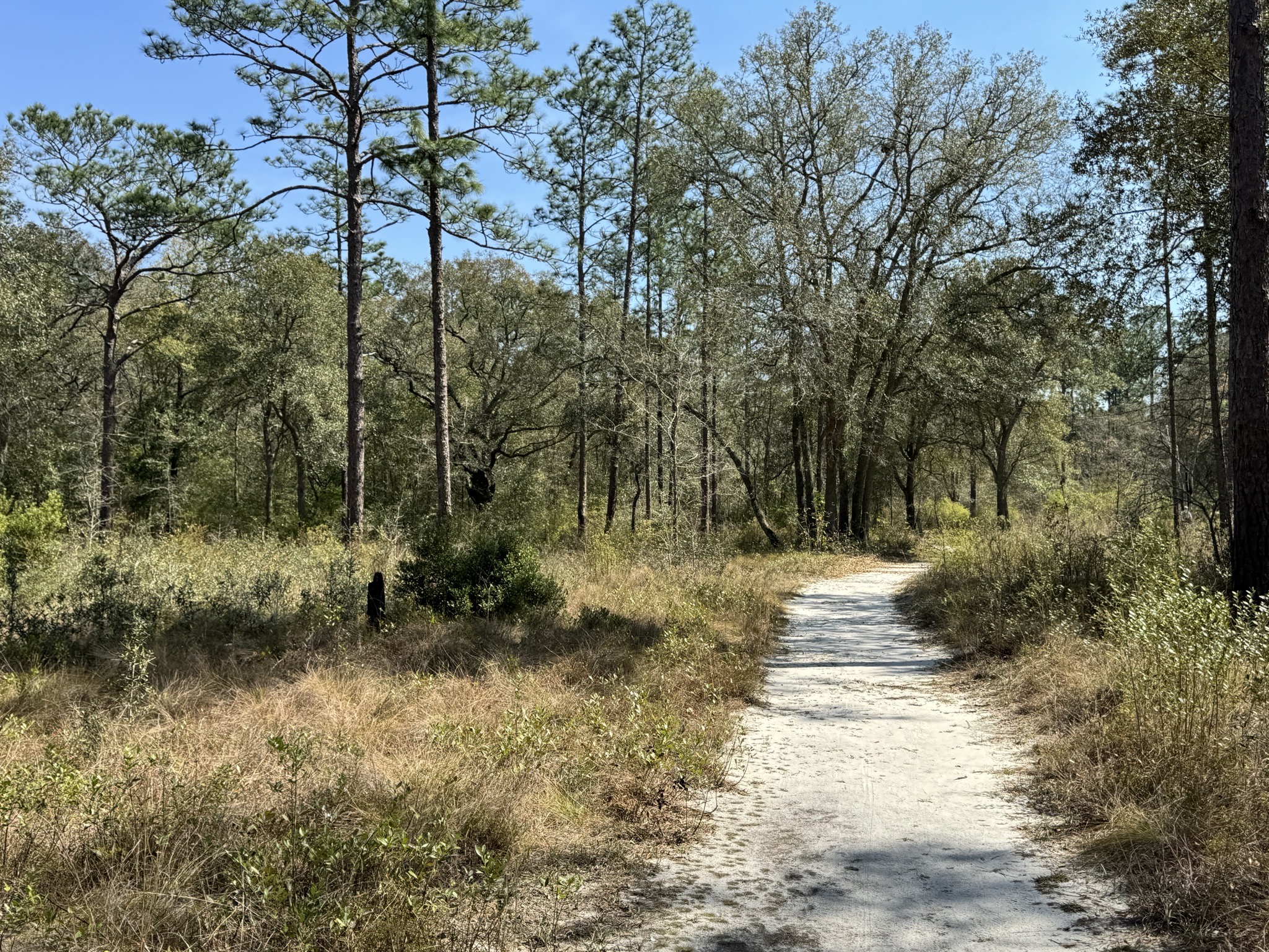 Nature path