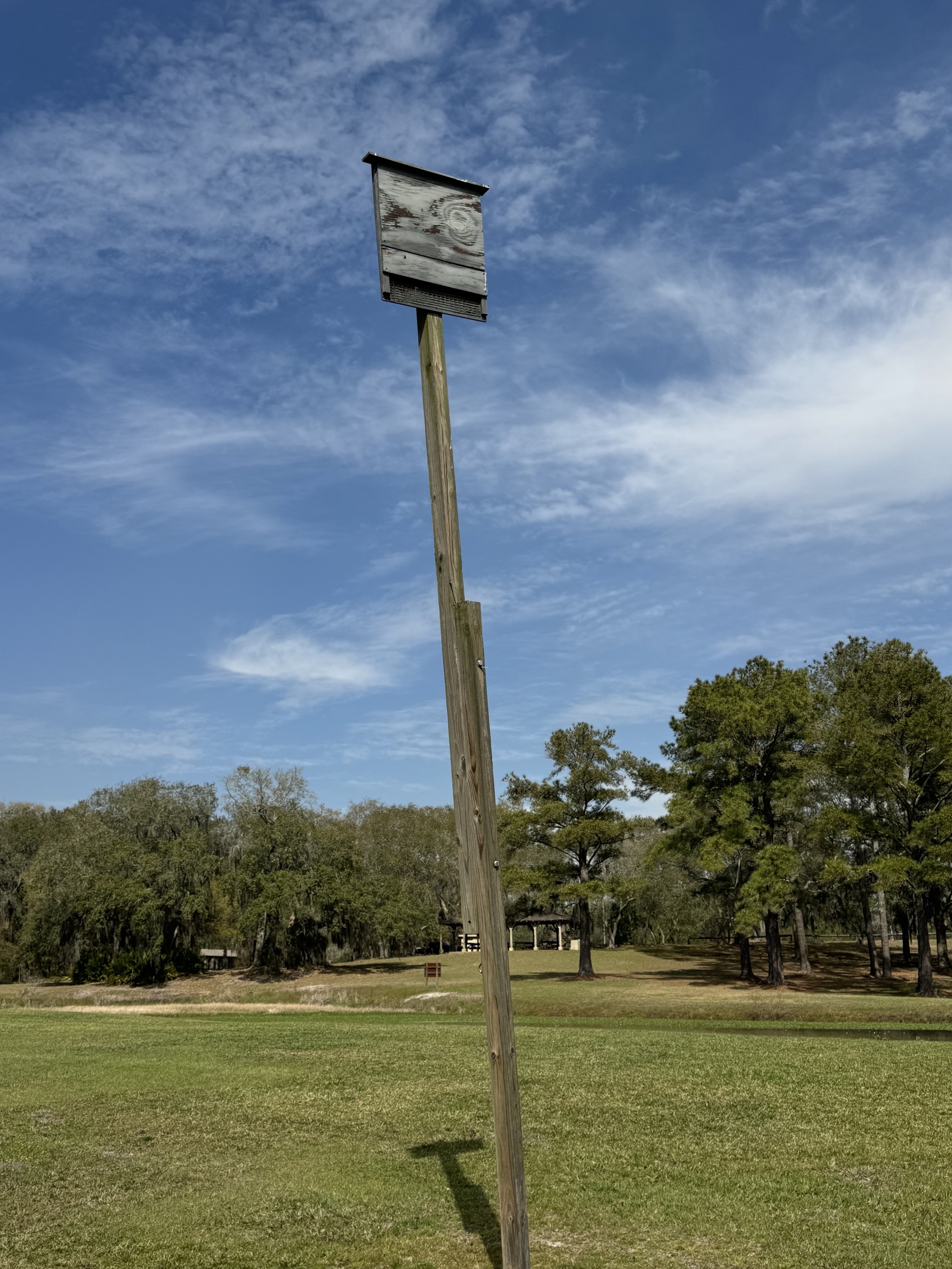 Bat box?