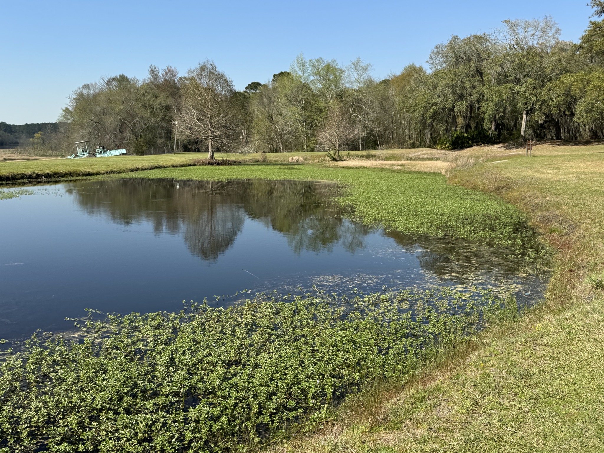 Pond