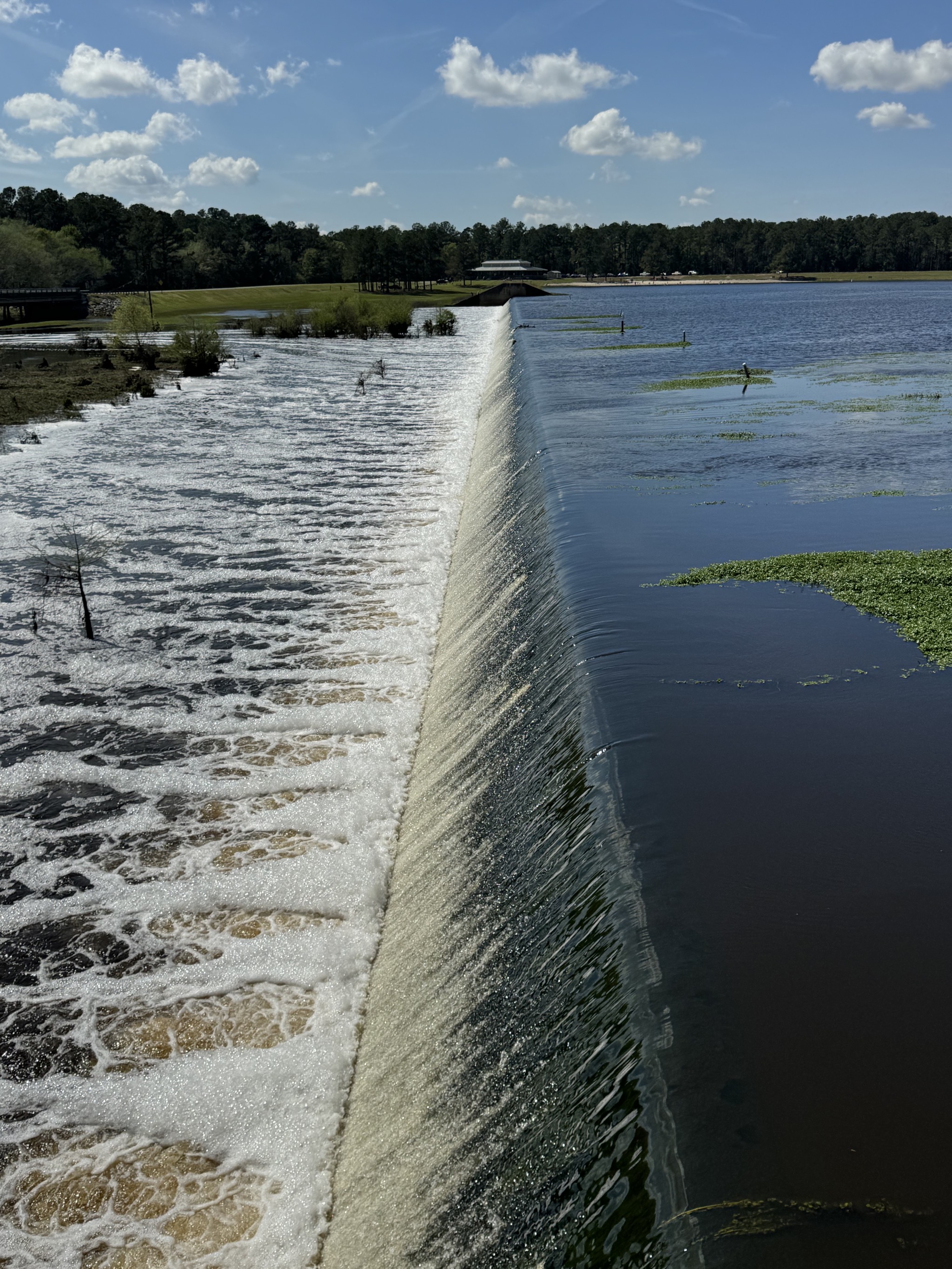 Dam