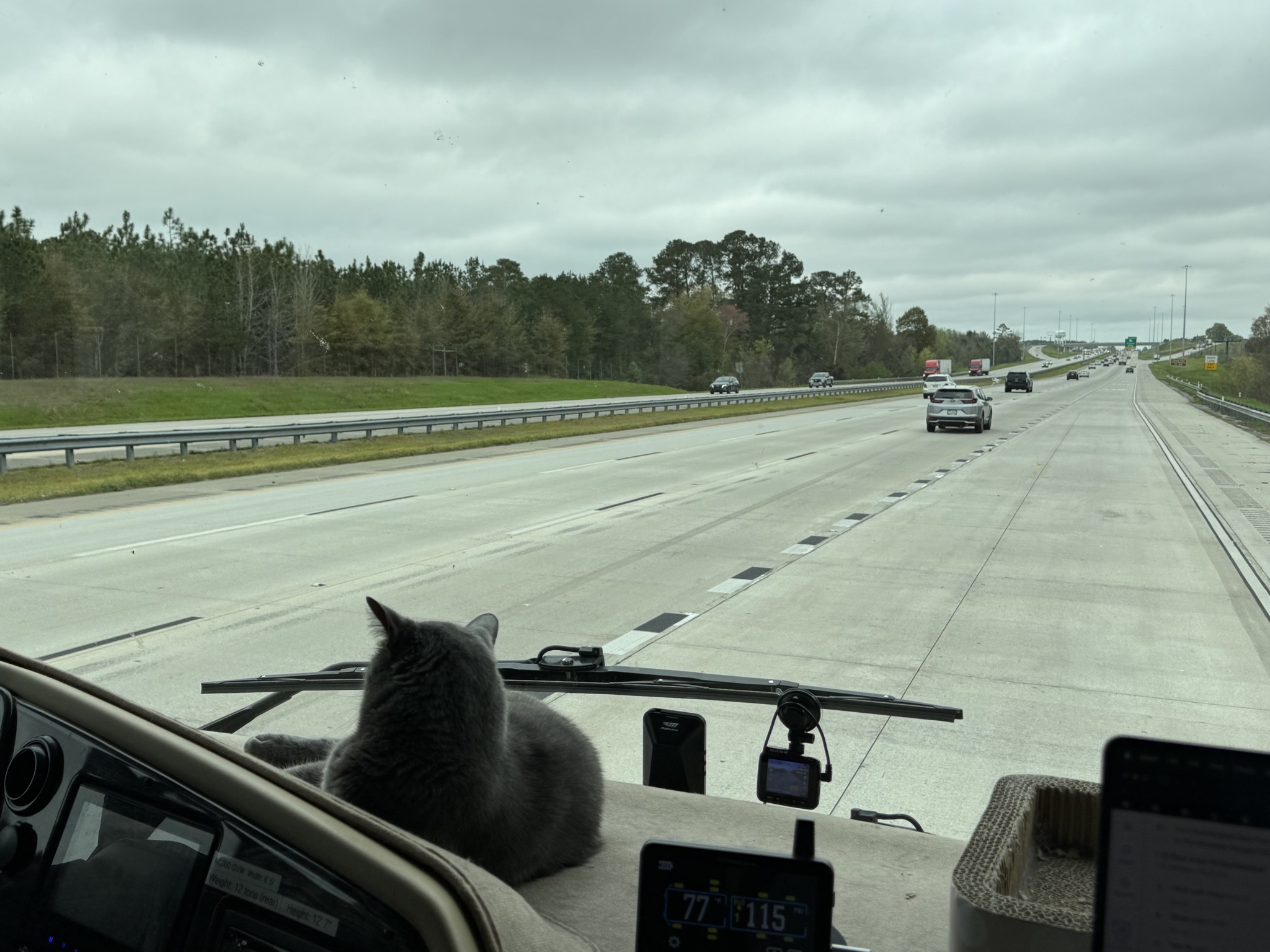 Paladin on the dash