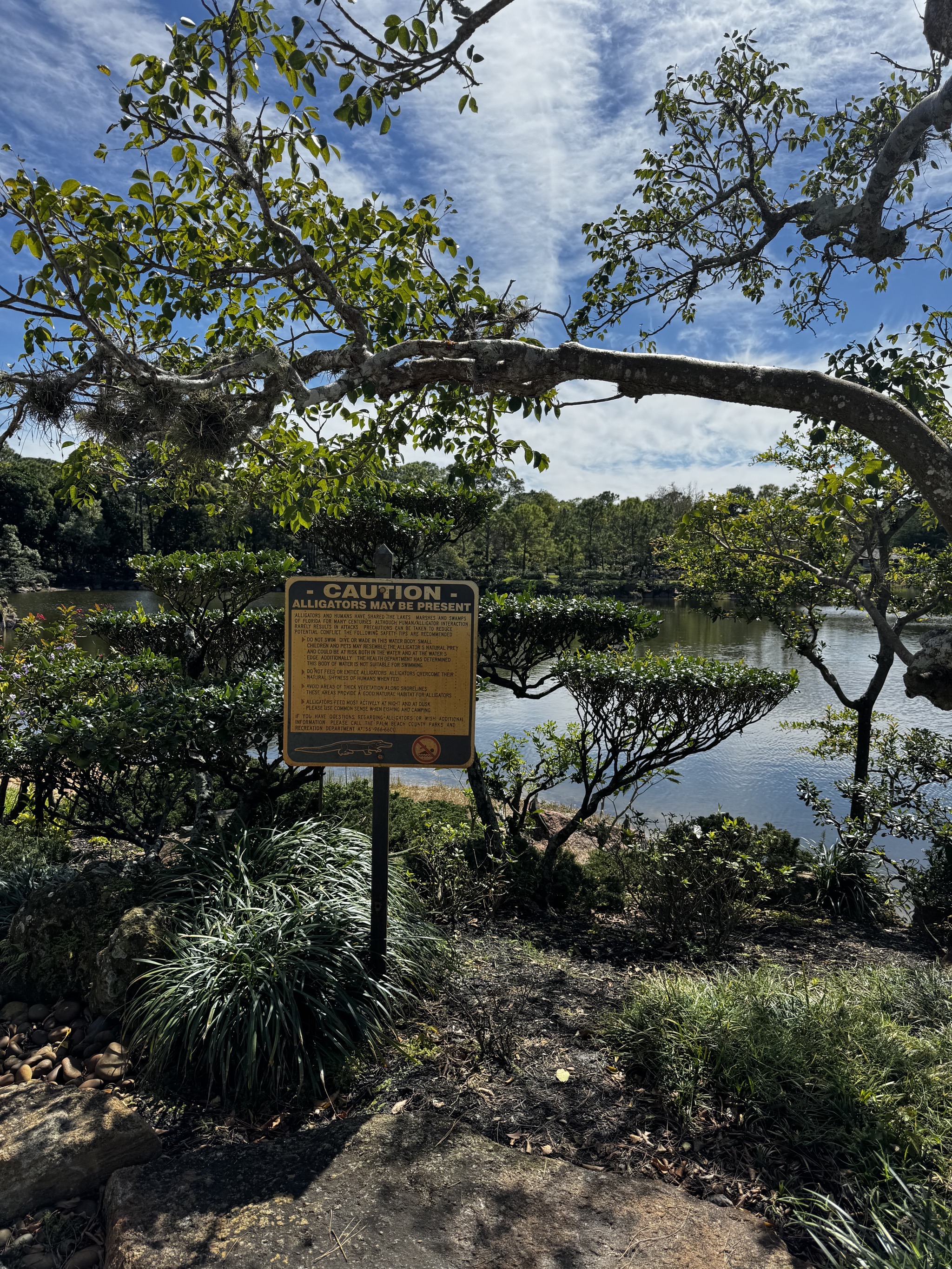 Caution, alligators