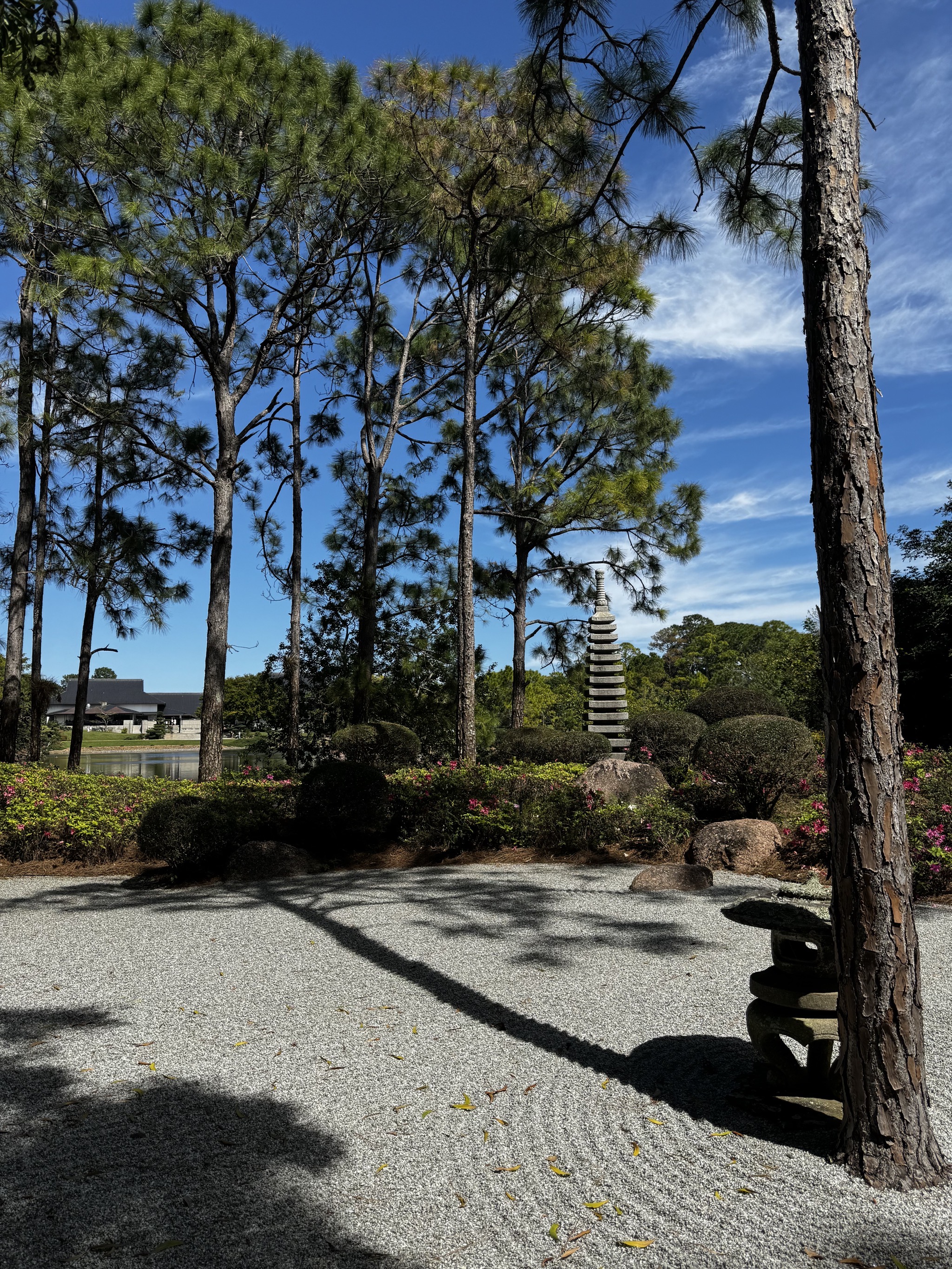 Rock garden