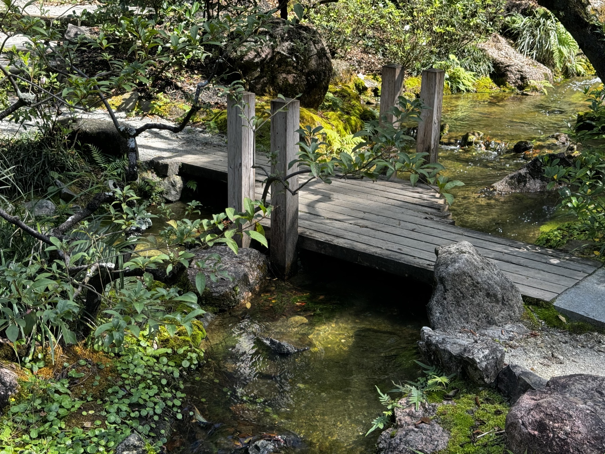 Bridge