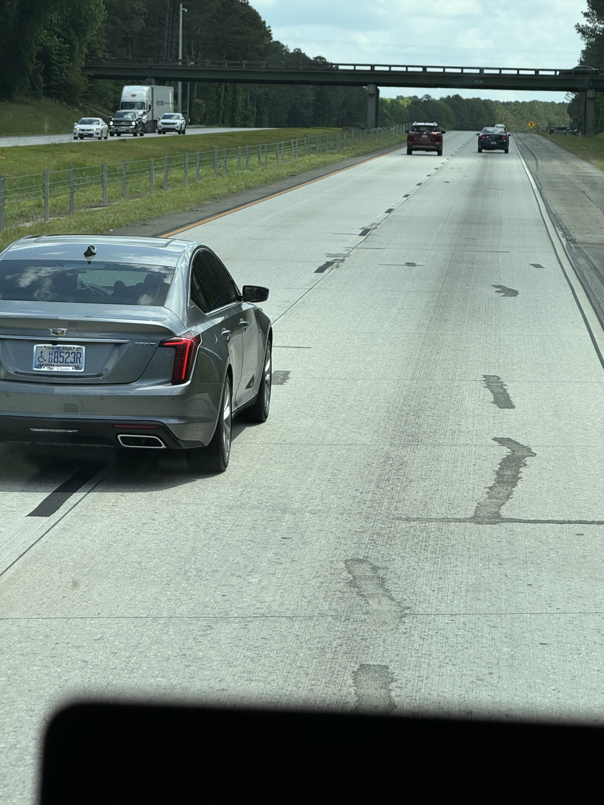 Southern swooper