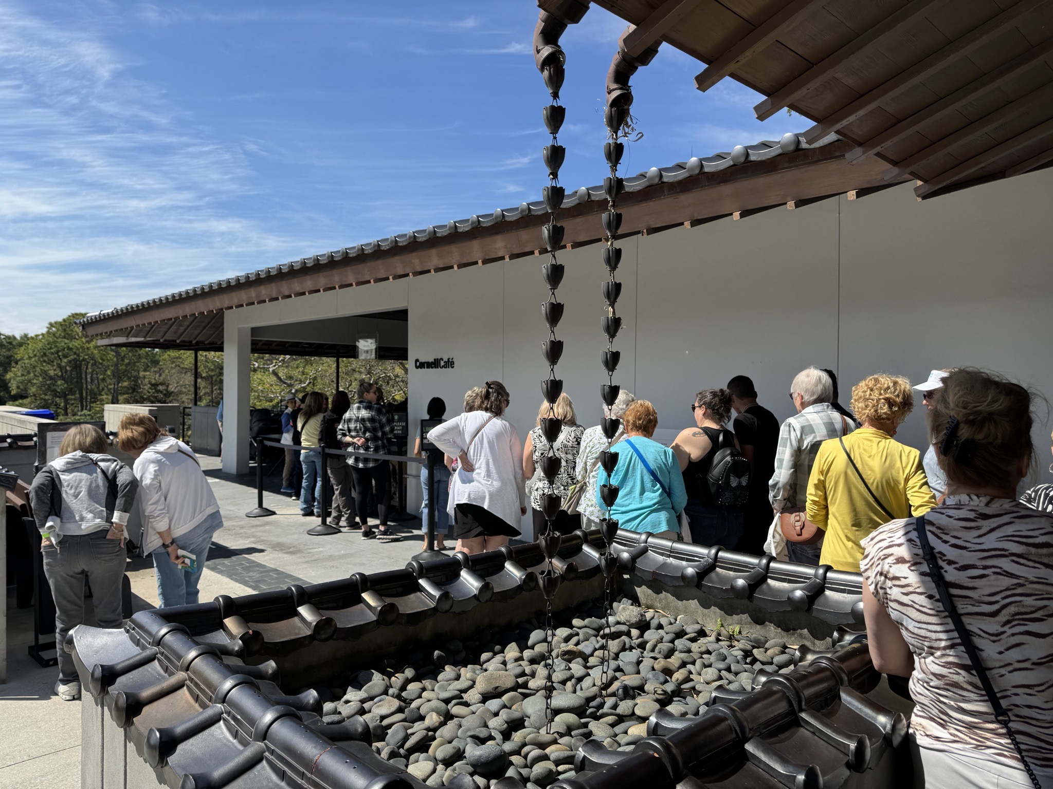 Long line for lunch