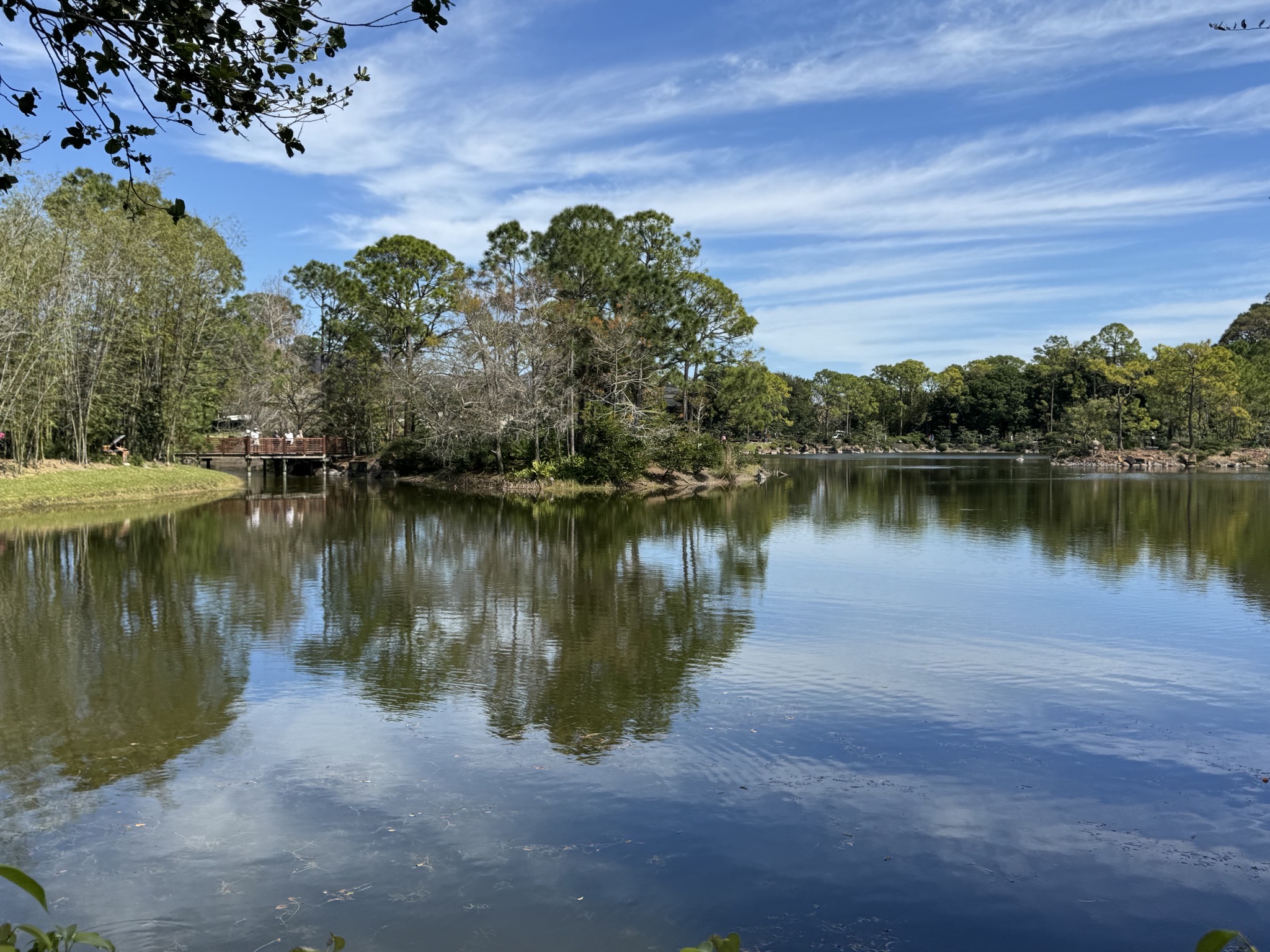 Pond