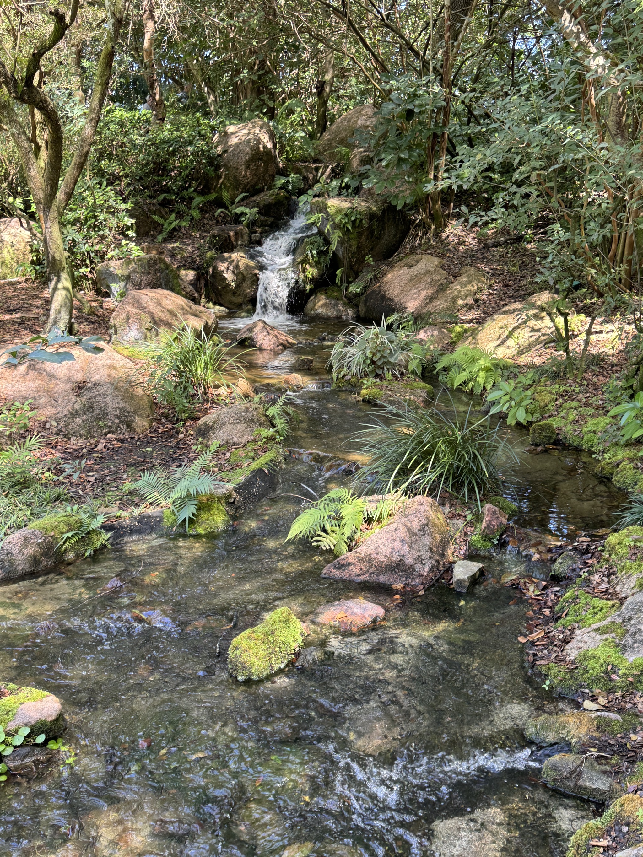 Waterfall