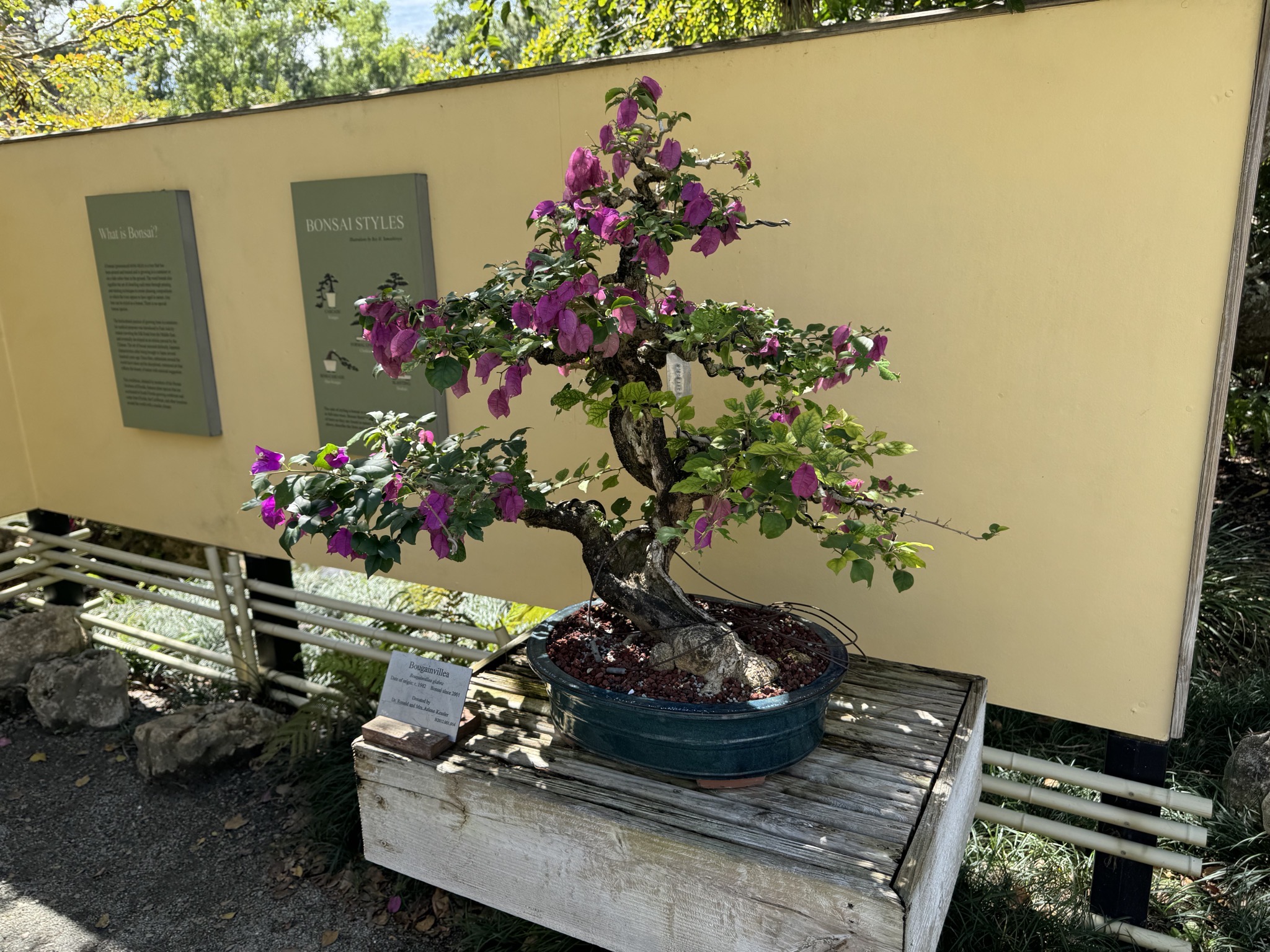 Bonsai garden