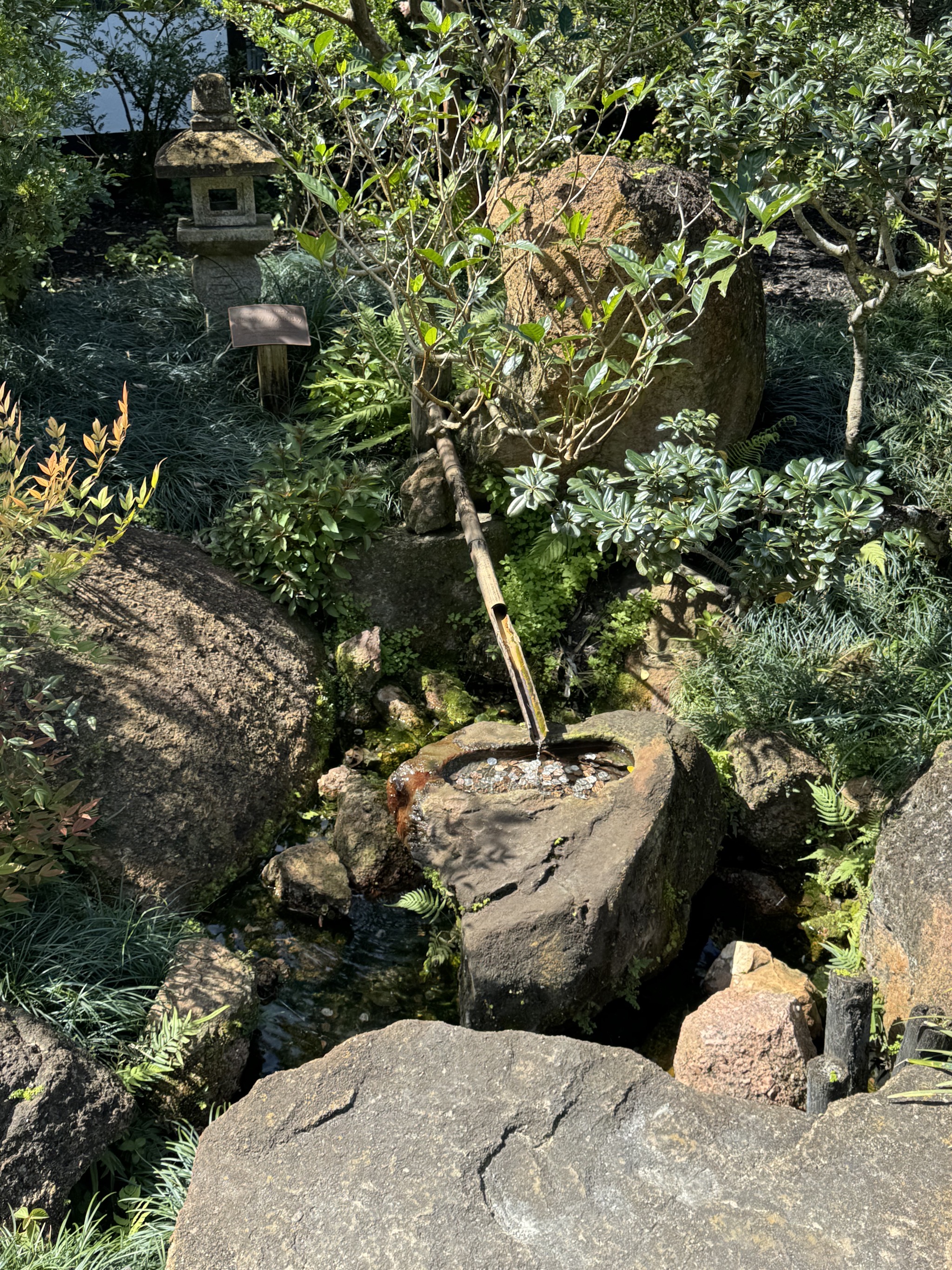 Water feature
