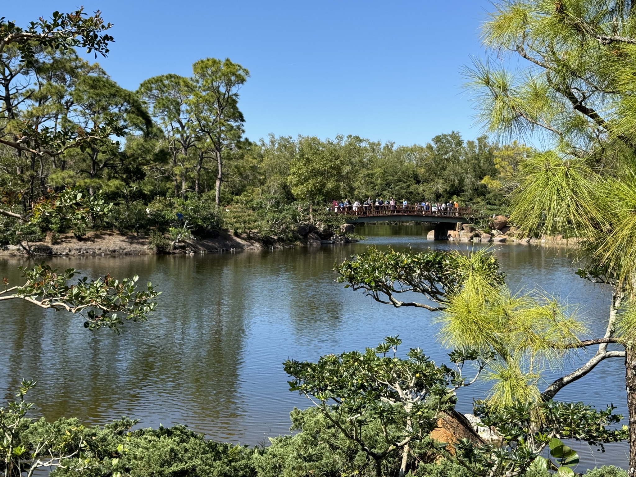 Pond and bridge