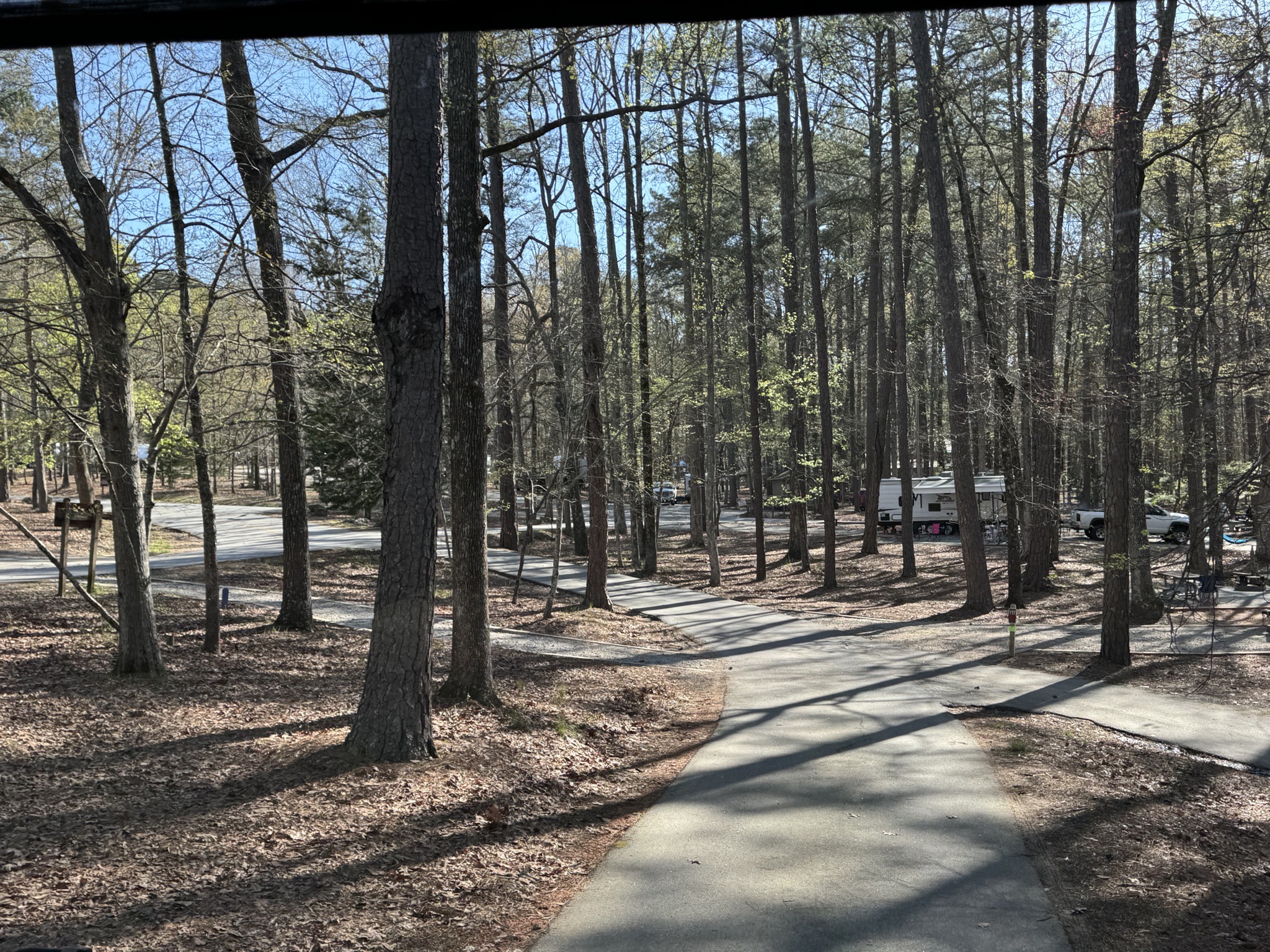Very narrow road in campground