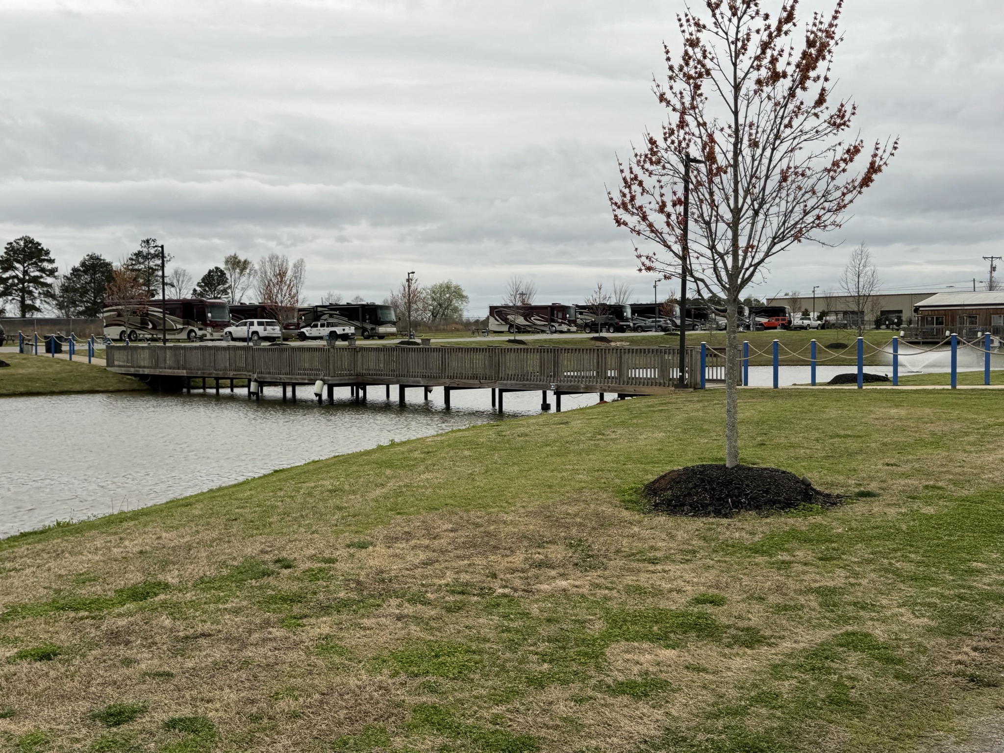 Central pond