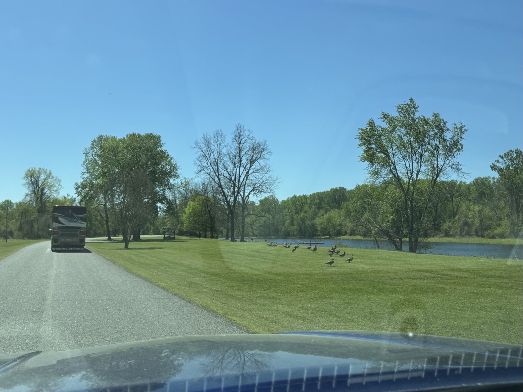 Following coach