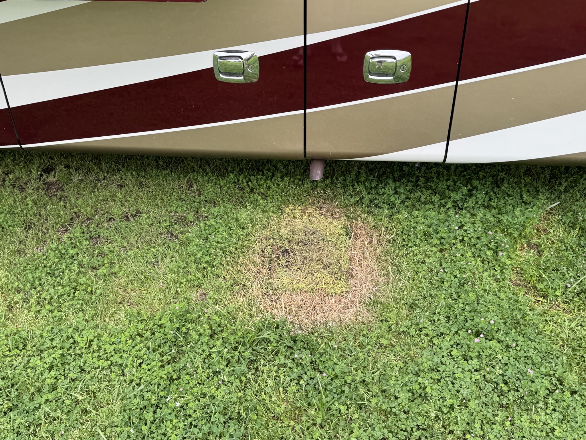 Singed grass from AquaHot exhaust