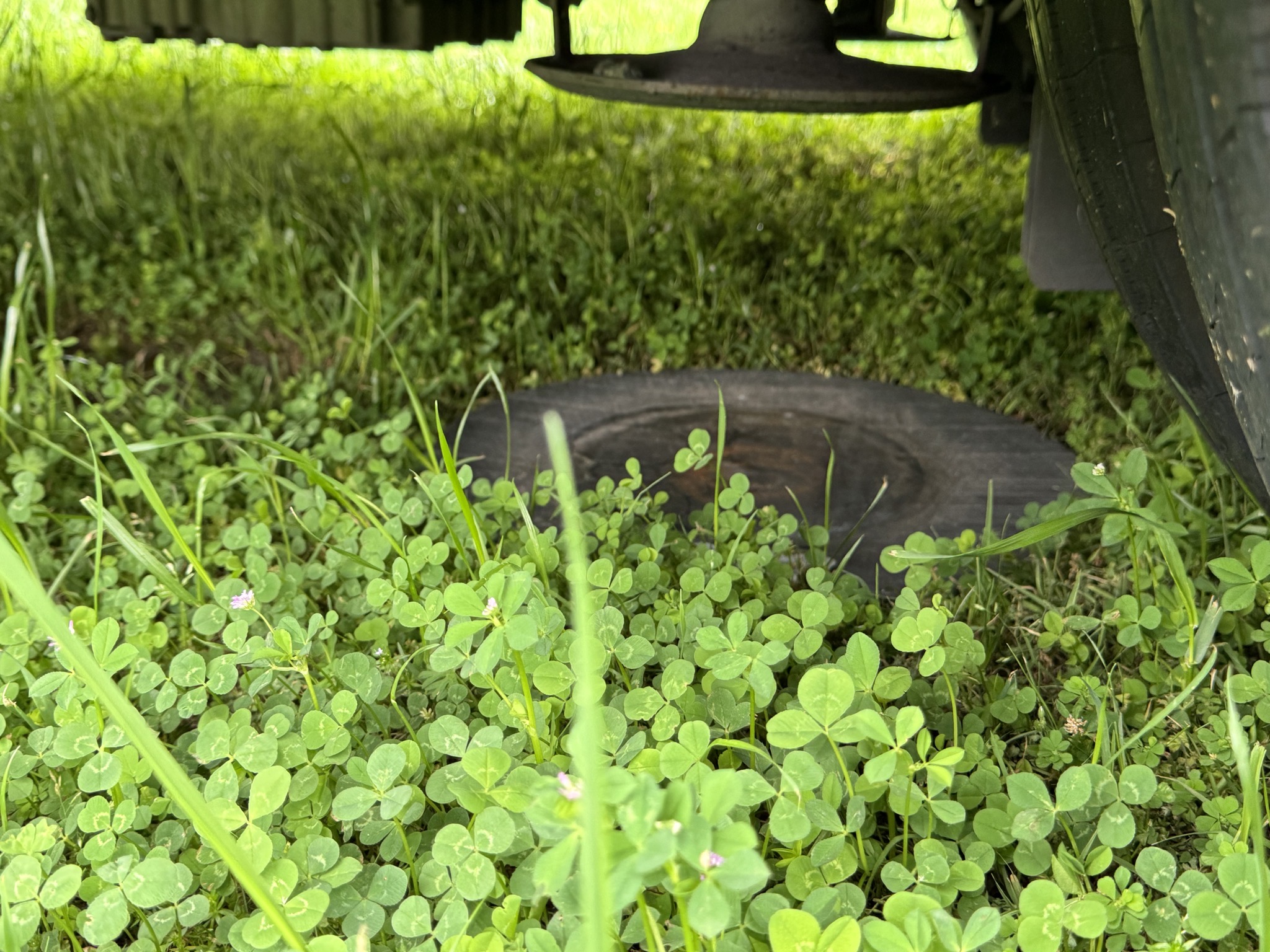 Jack pads embedded in ground