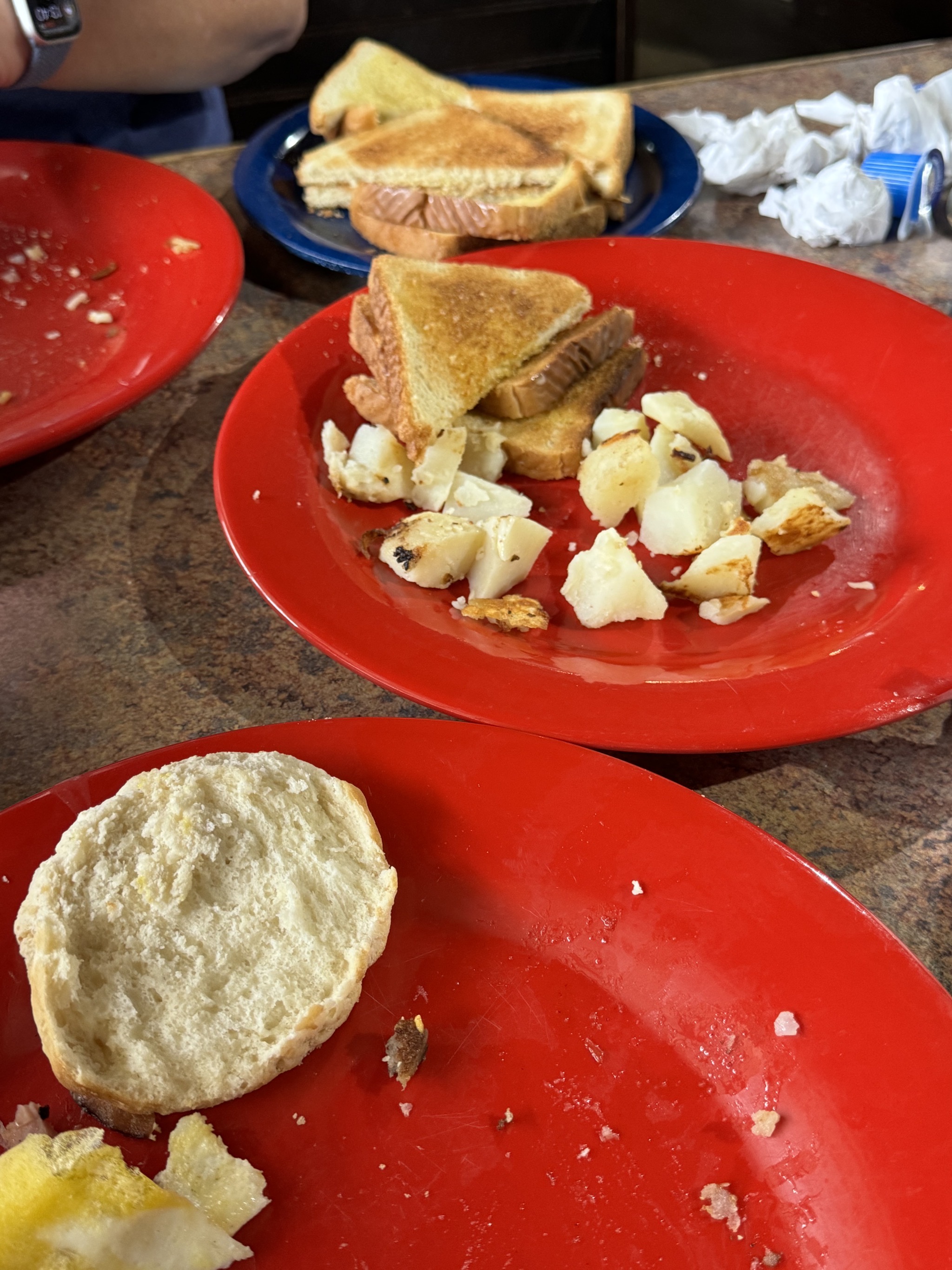 Toast and biscuit