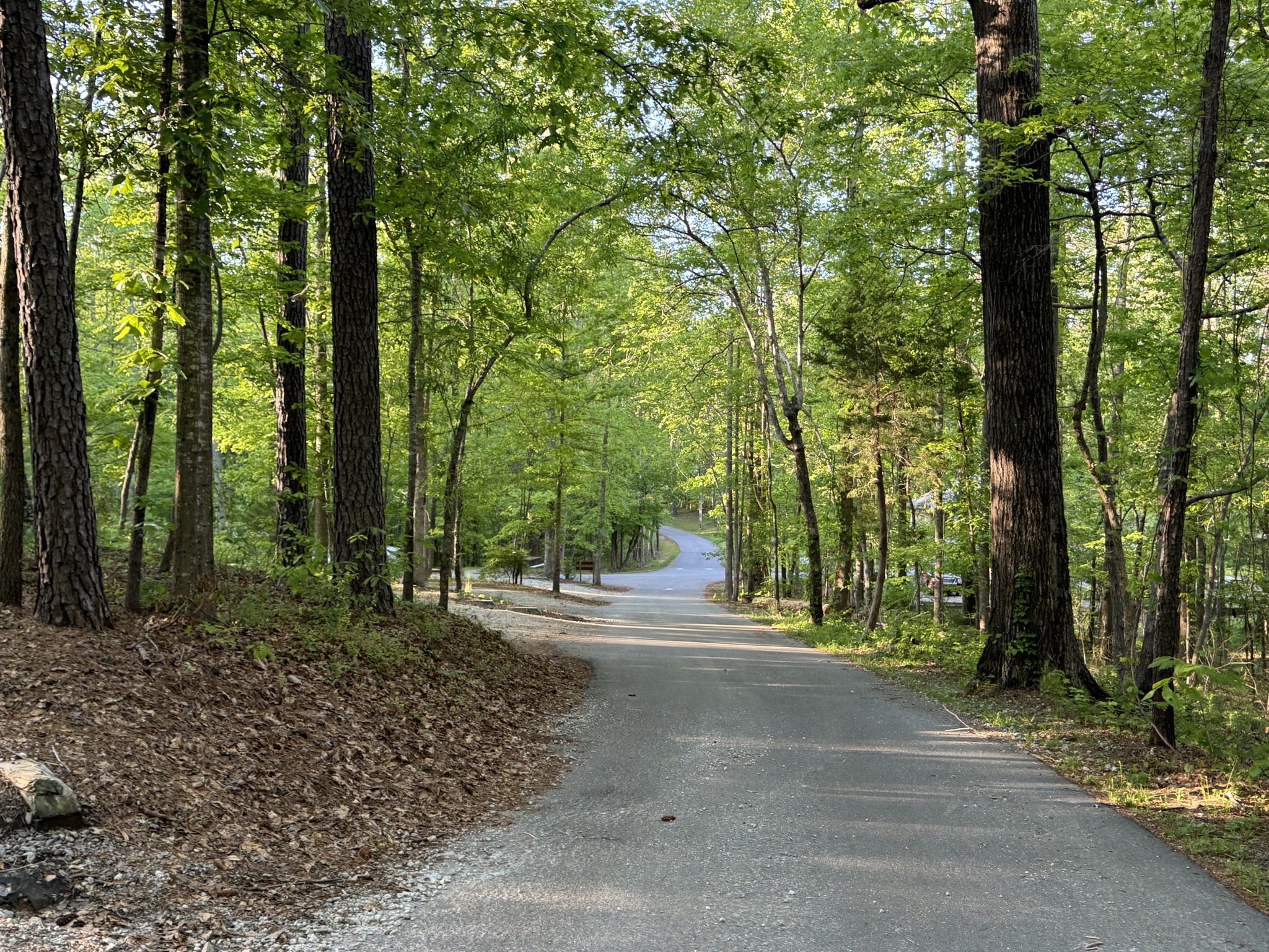 Road