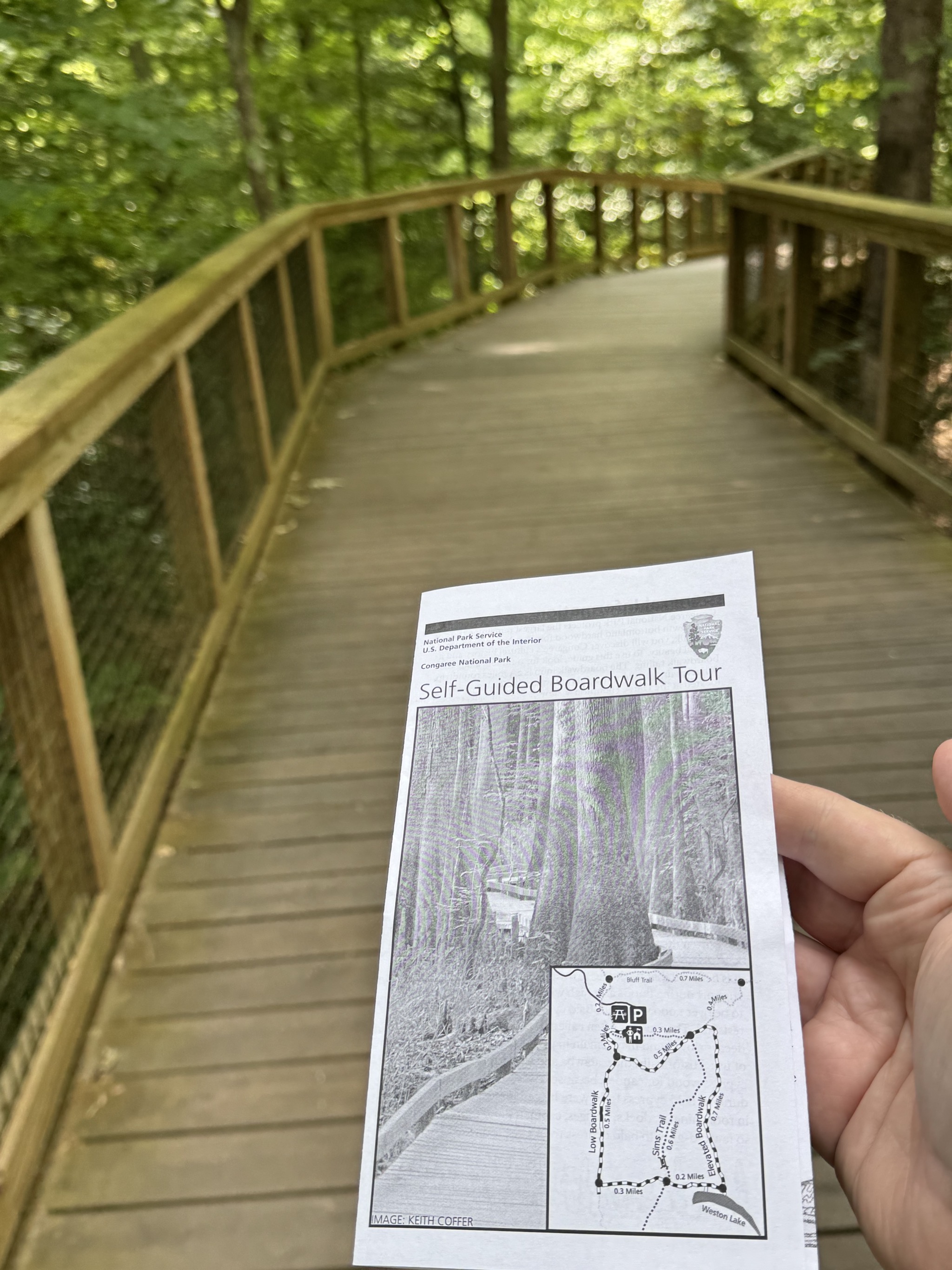 Boardwalk