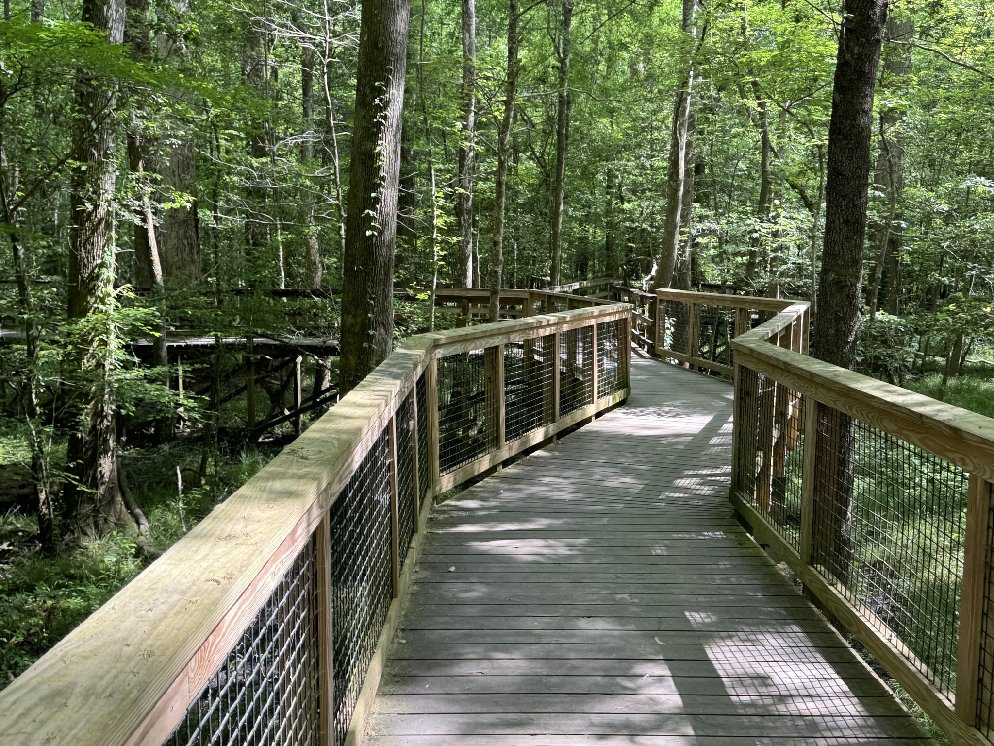 Boardwalk