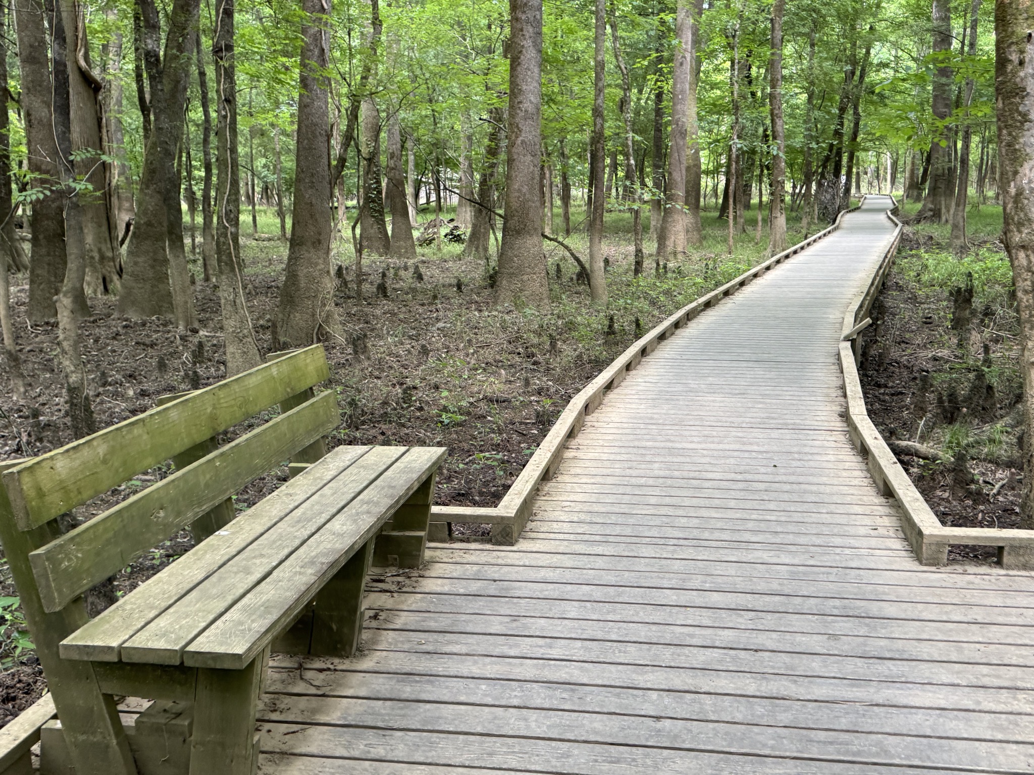Boardwalk