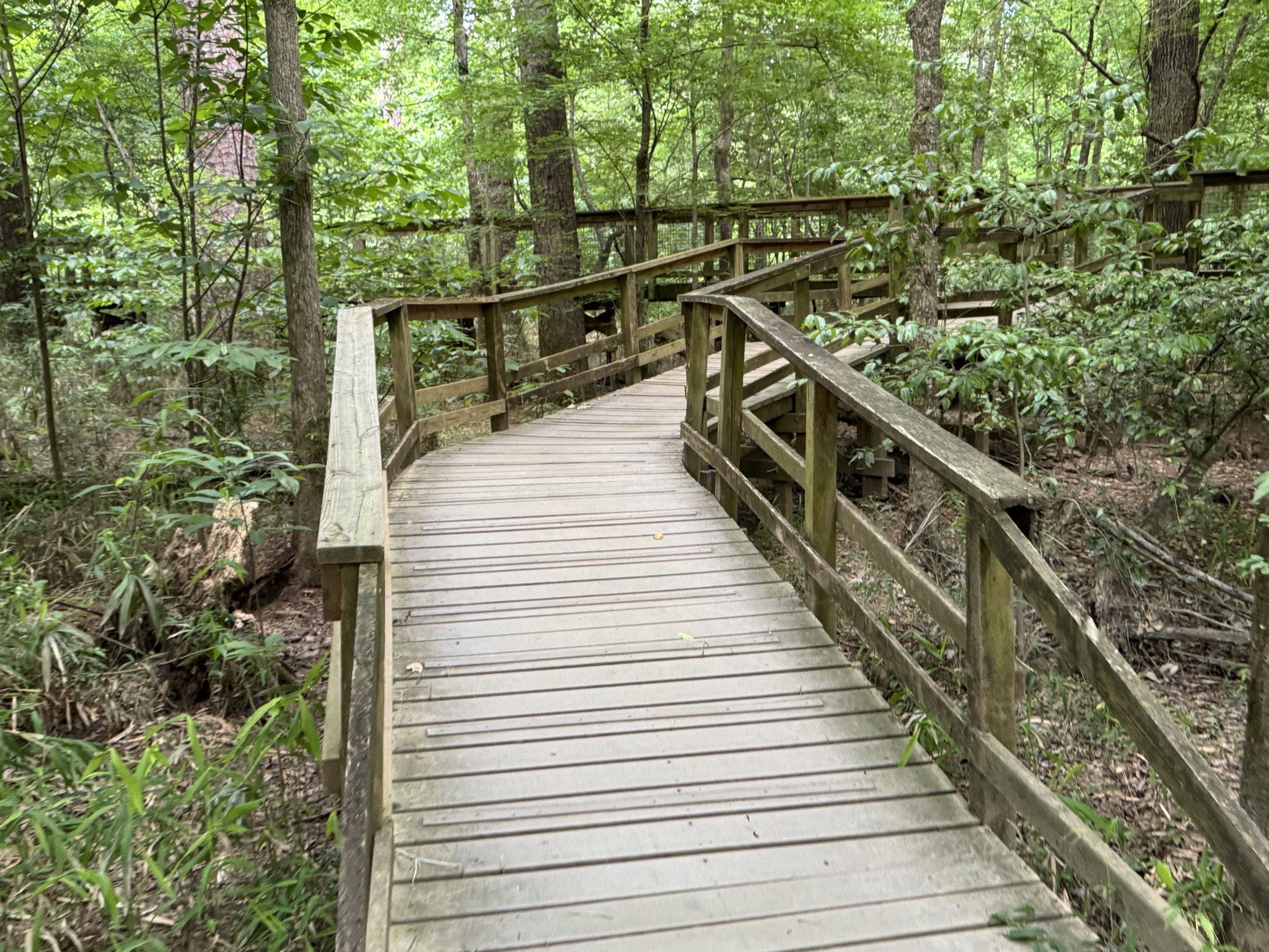 Boardwalk