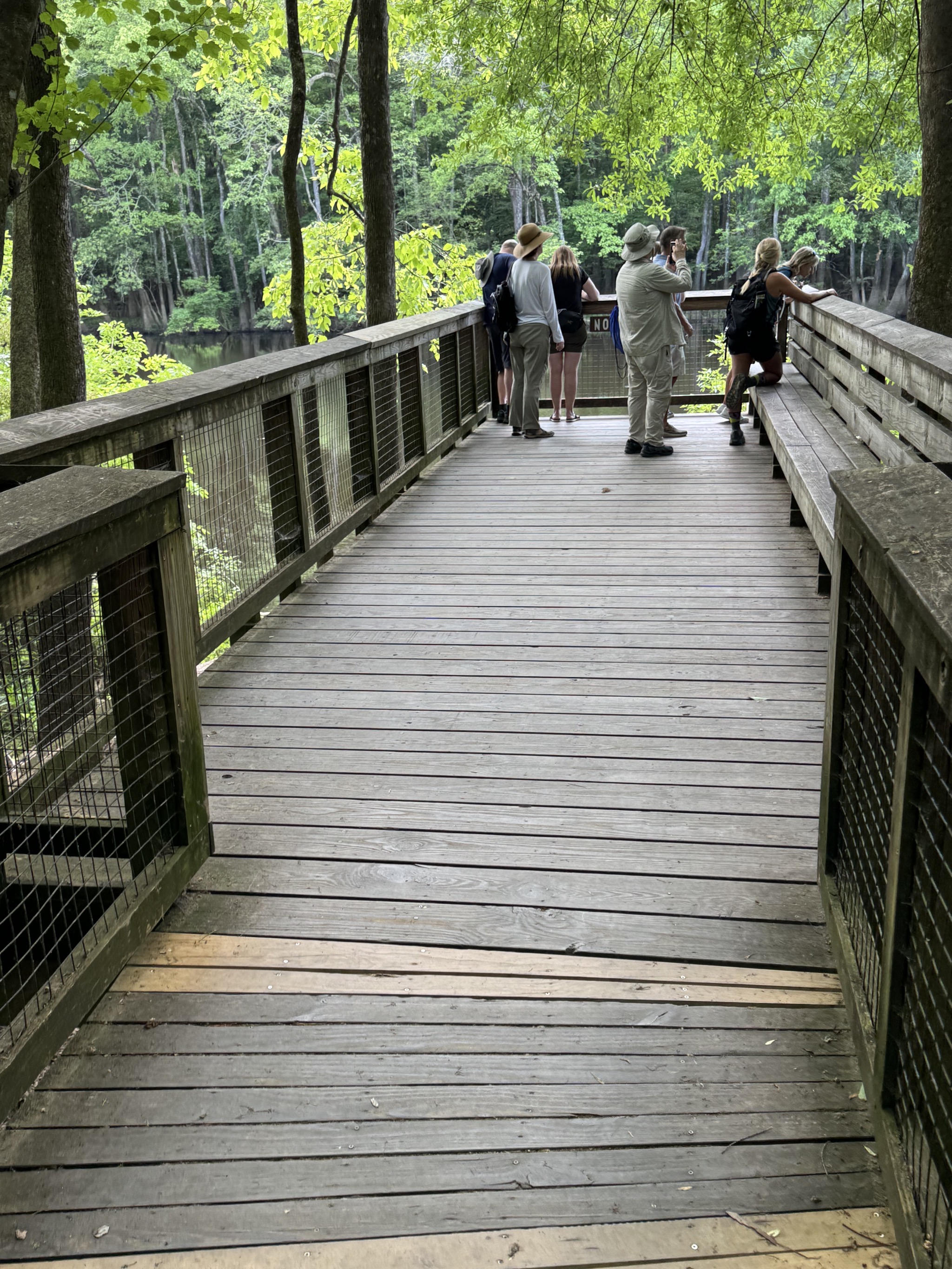 Boardwalk