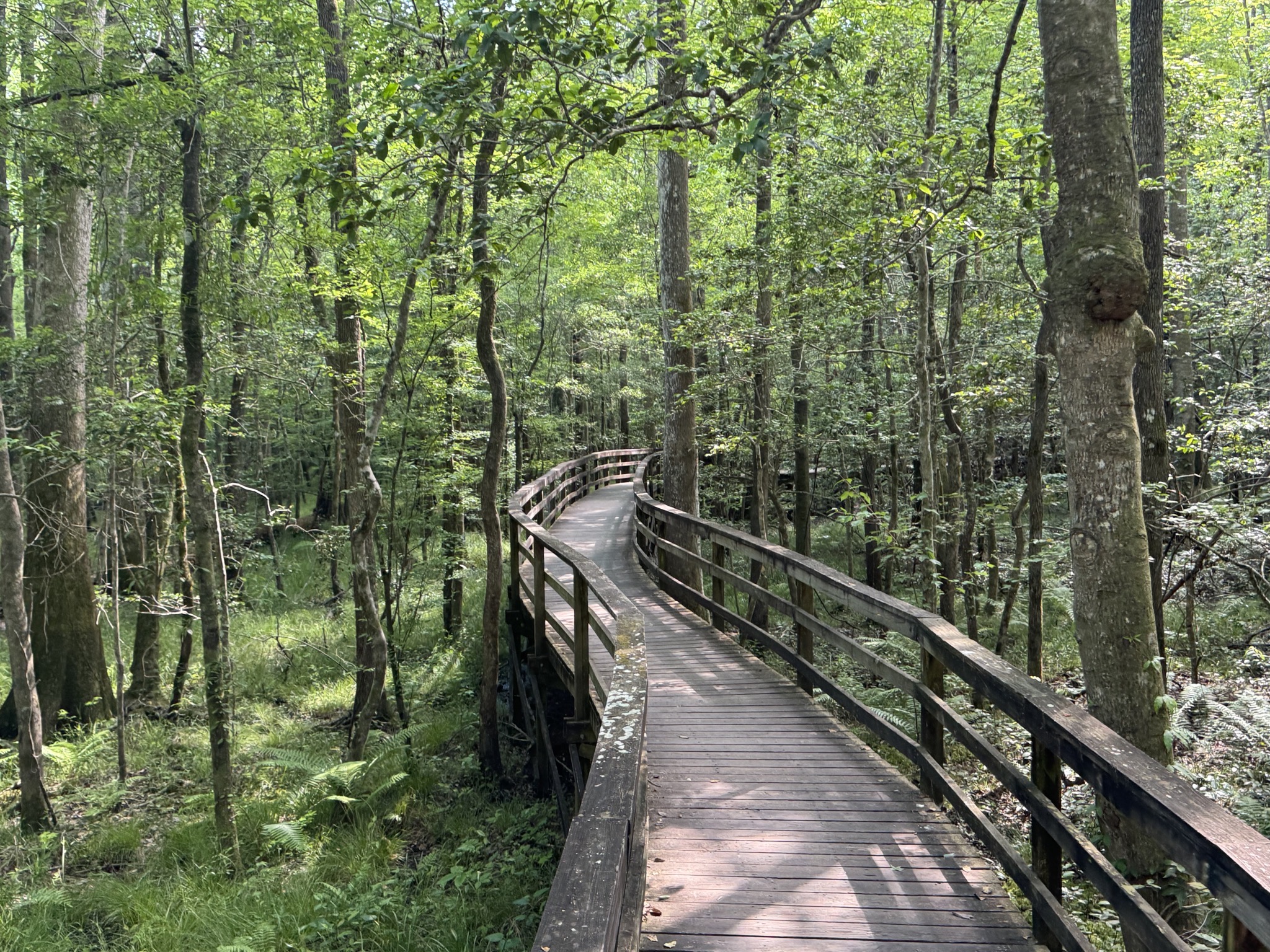 Boardwalk