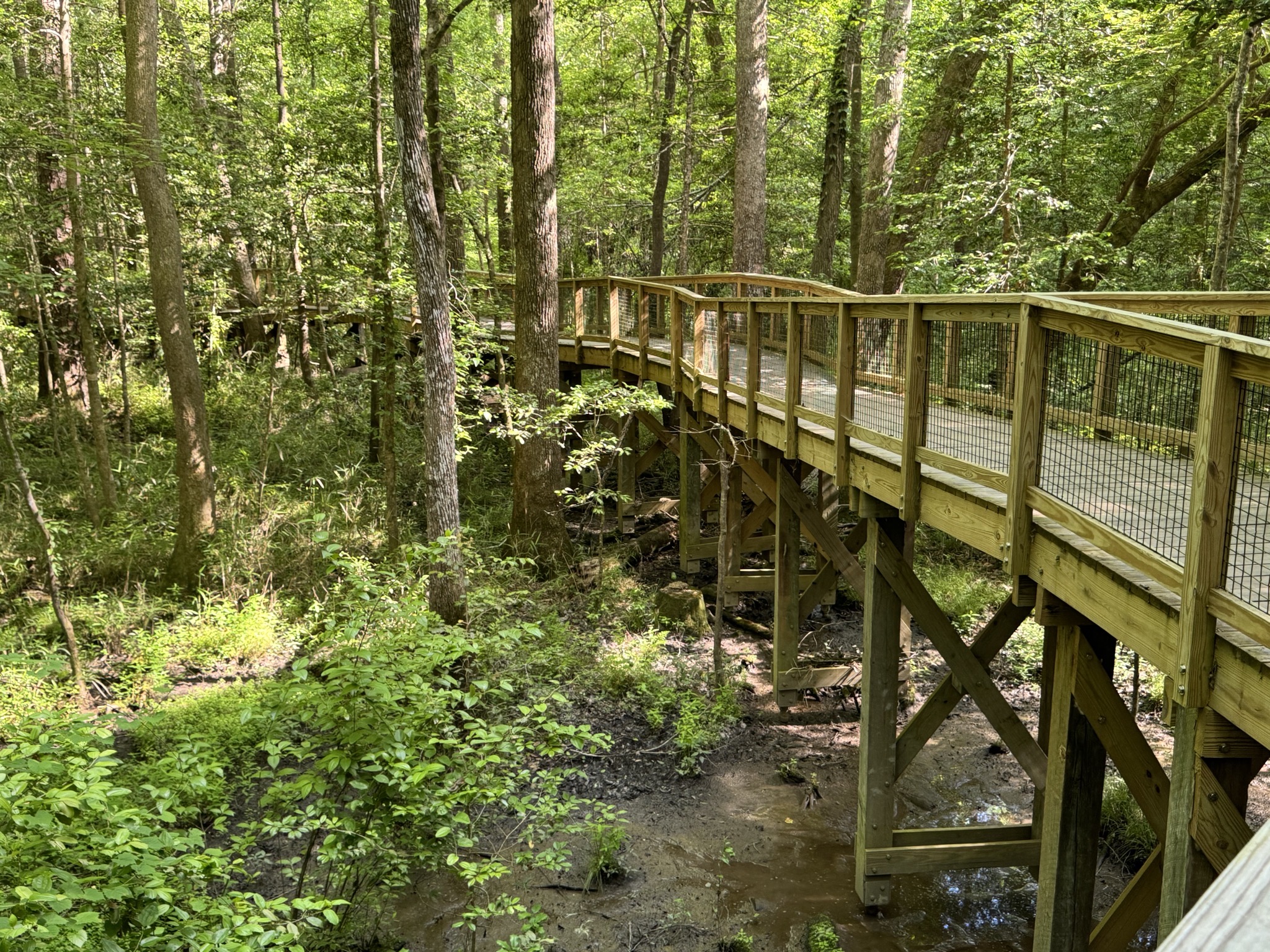 Boardwalk