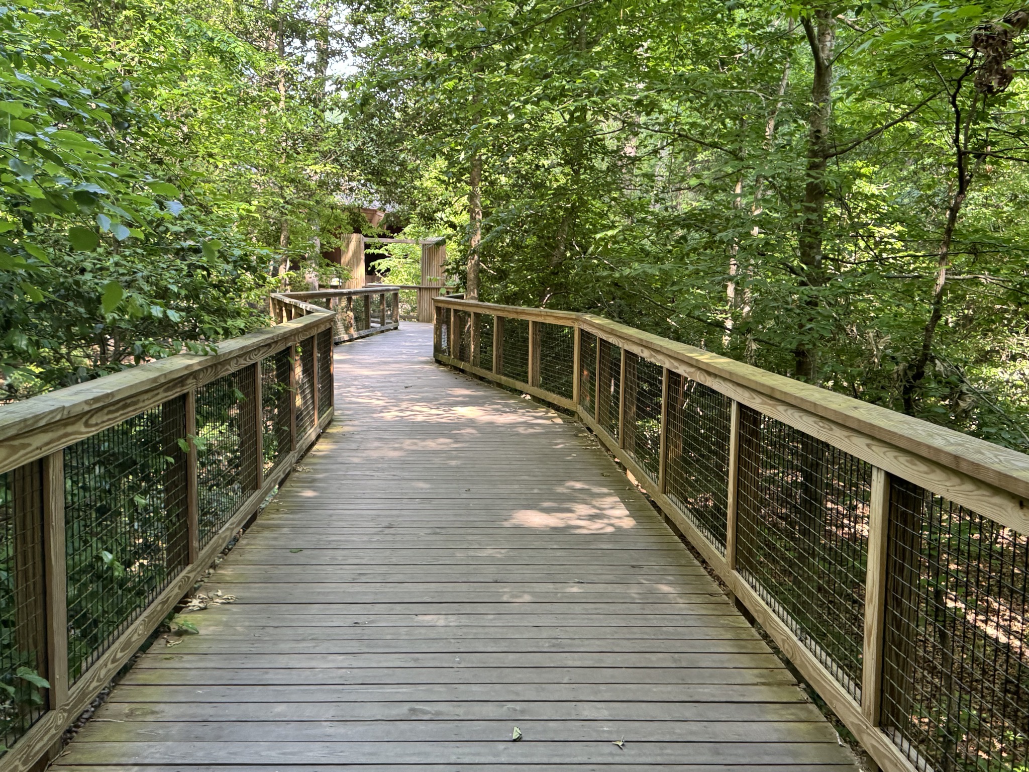 Boardwalk