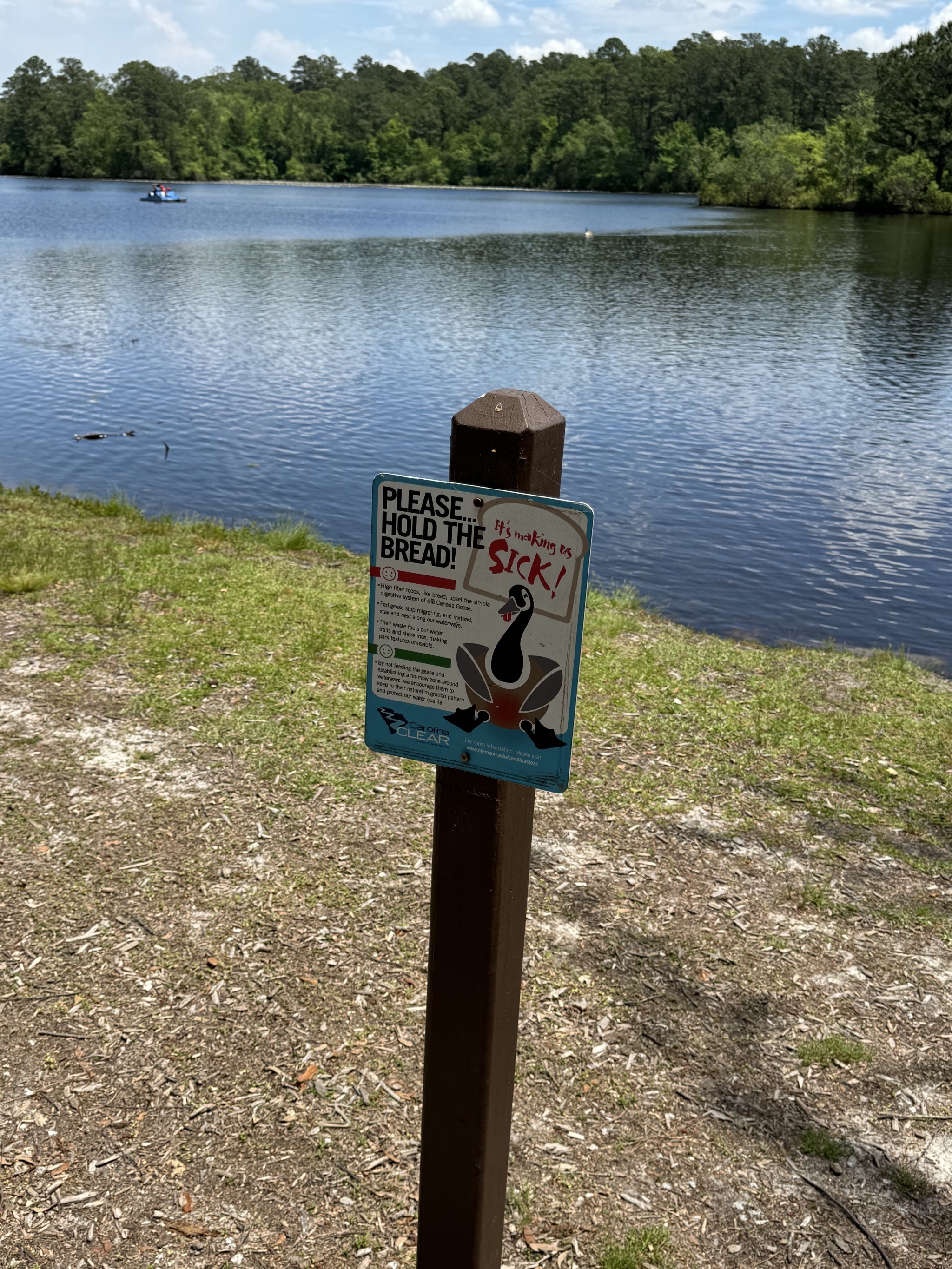 Lake